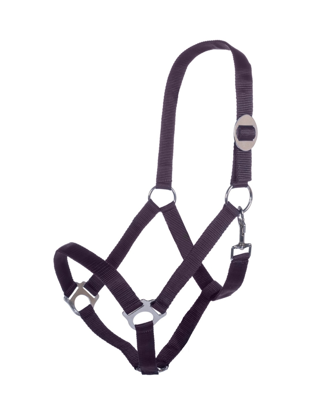 کلهگی ZiHorse