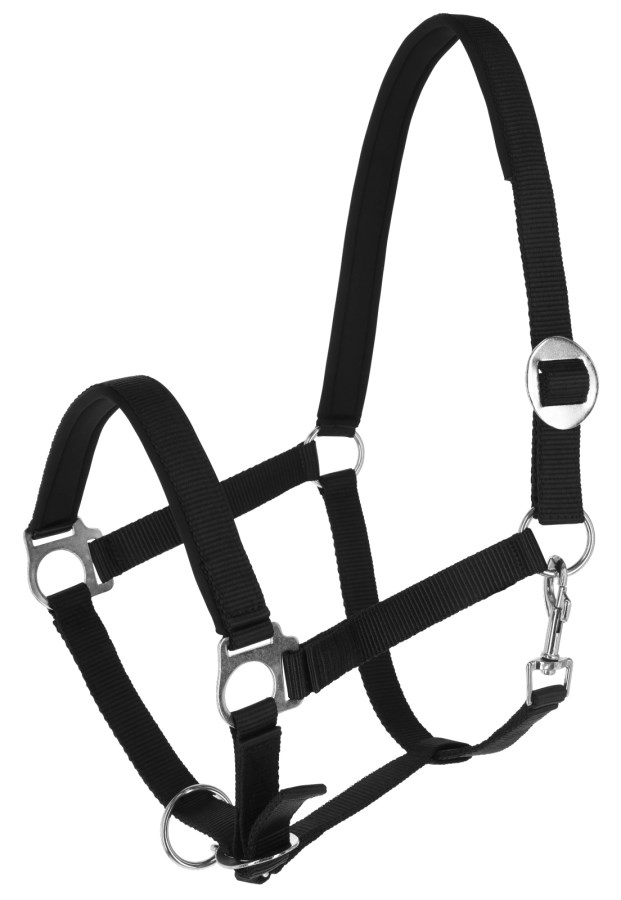 کلهگی ZiHorse