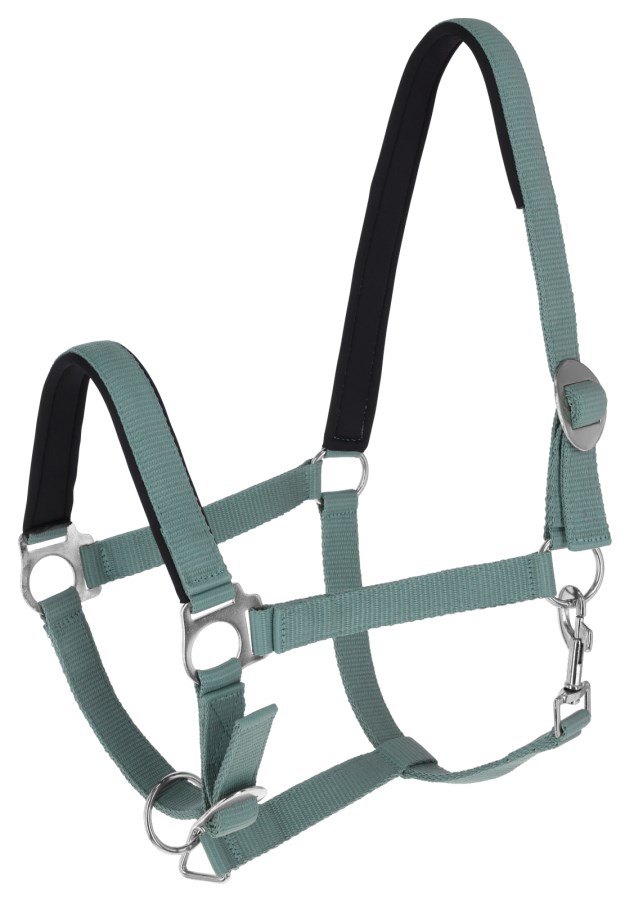 کلهگی ZiHorse — 2
