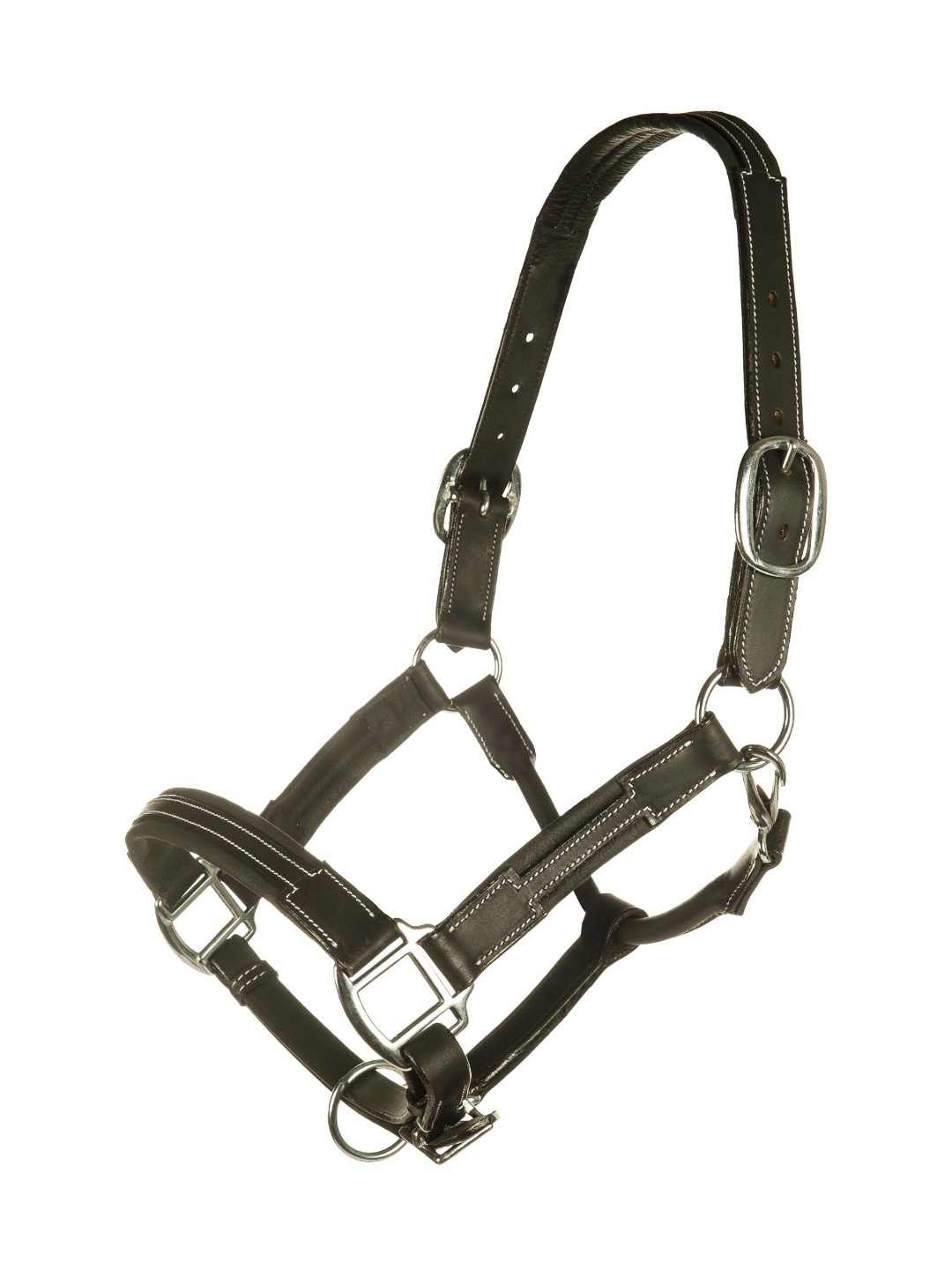 کلهگی ZiHorse