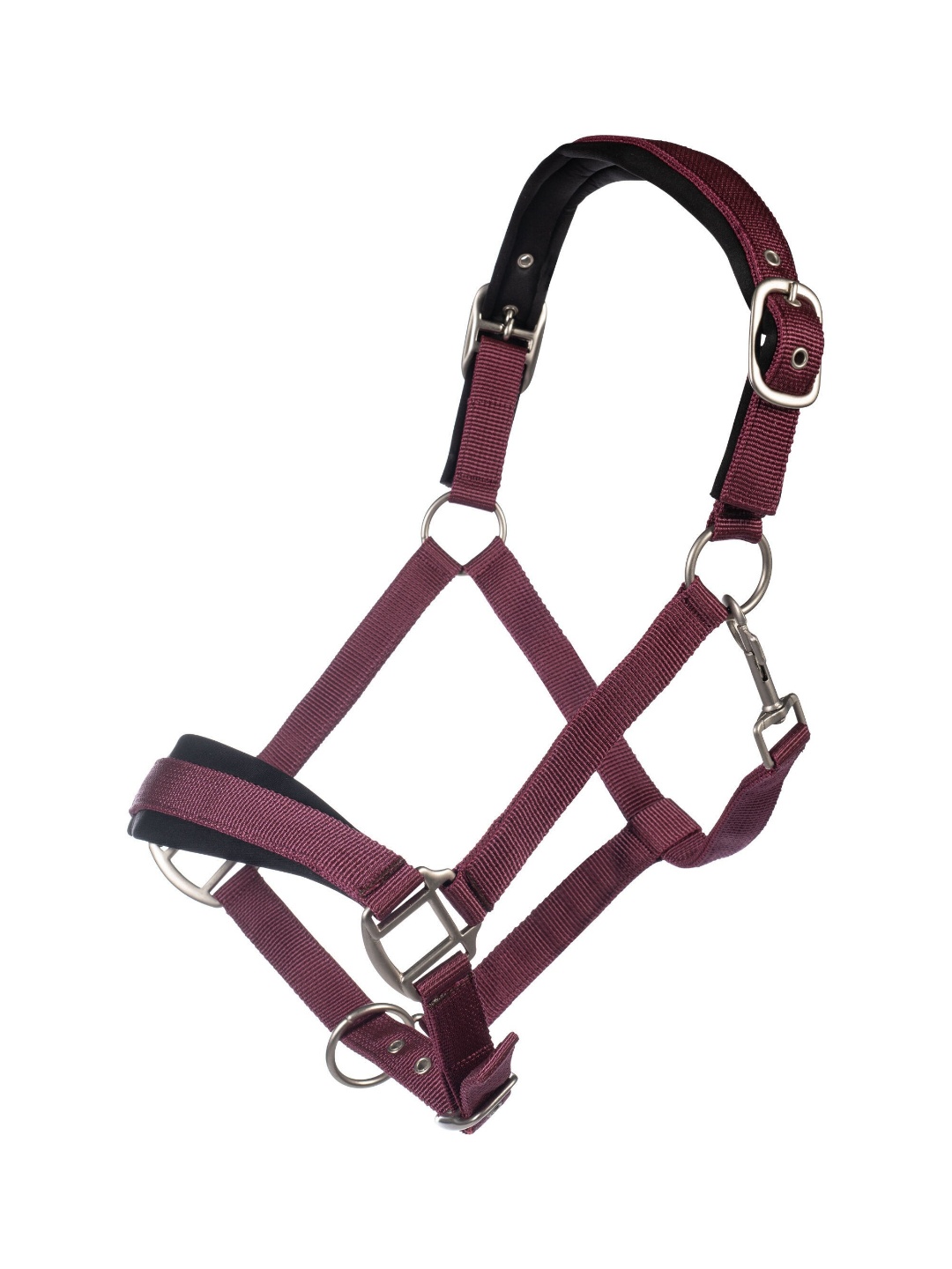 کلهگی ZiHorse