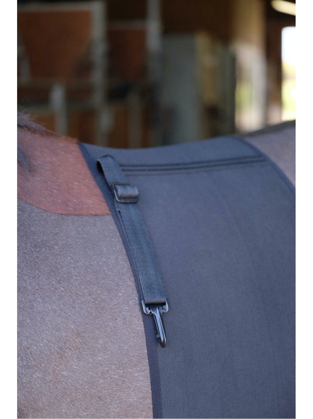 محافظ شکم اسب ZiHorse برای استفاده با مهمیز — 2