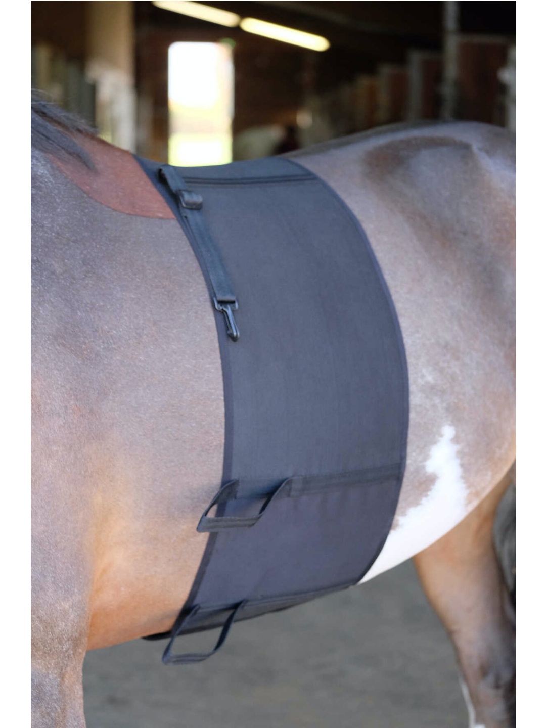 محافظ شکم اسب ZiHorse برای استفاده با مهمیز