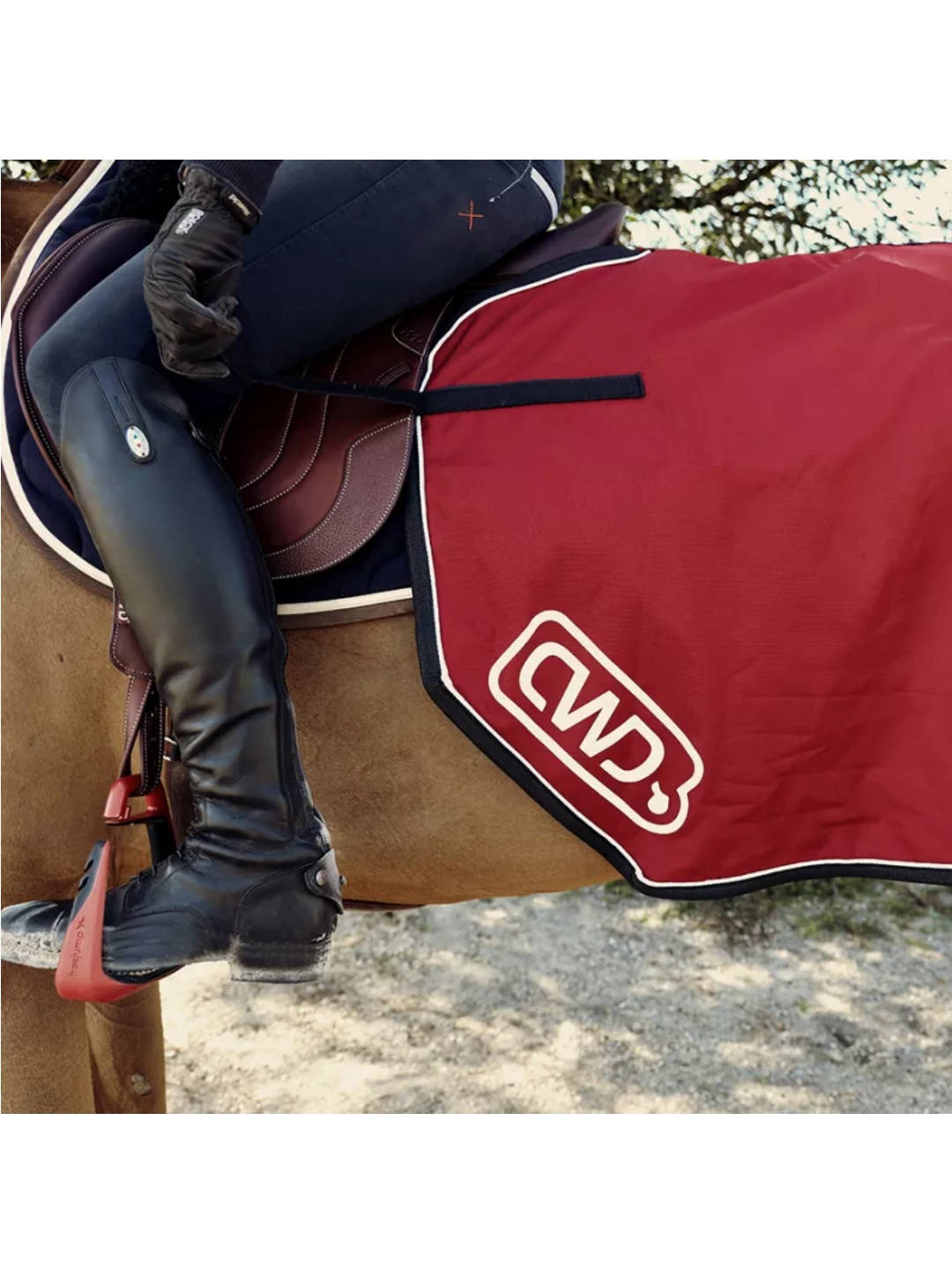 بلانکت تمرینی CWD — 4