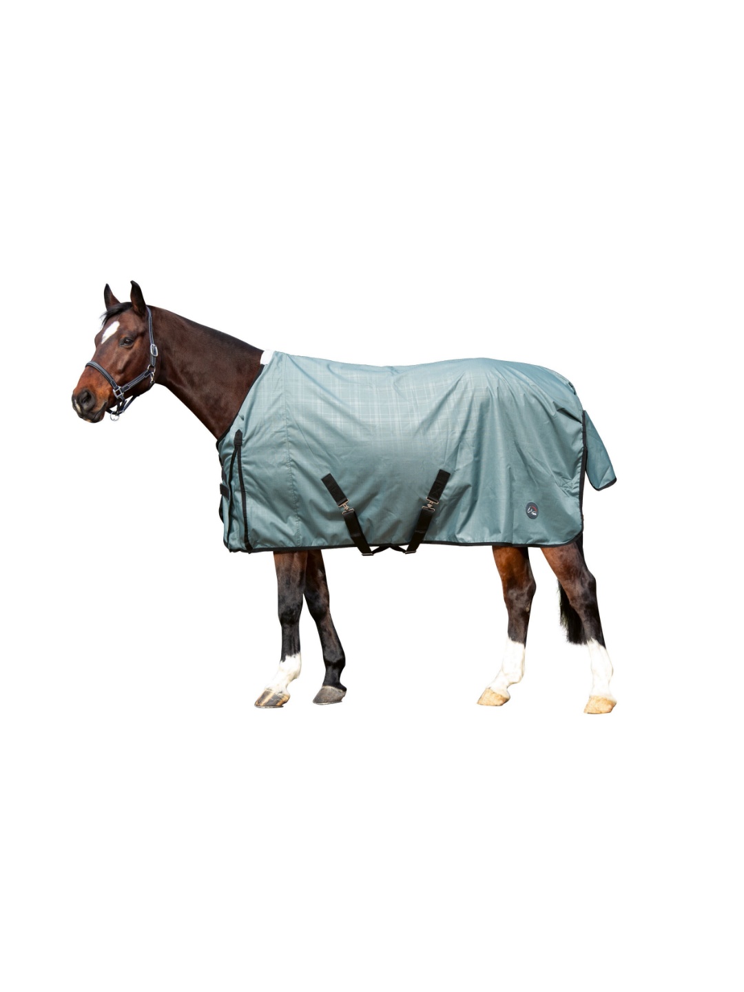 پتو اسب زمستانی ZiHorse با عایق ۲۰۰ گرمی و پارچه ضدآب