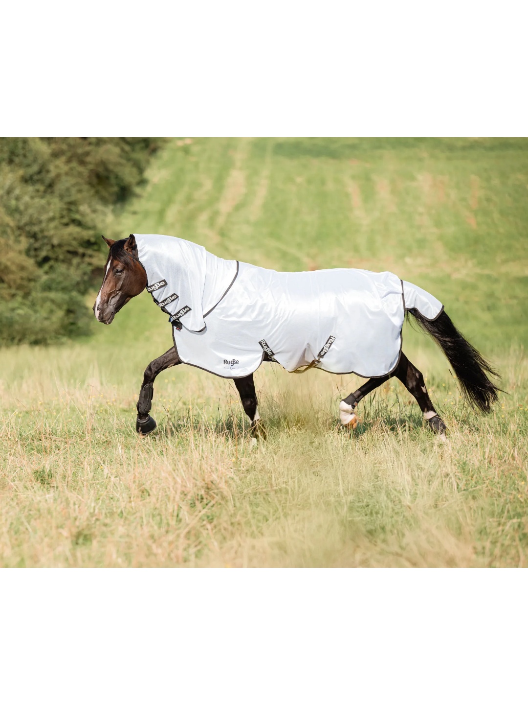 پتو ضد مگس ZiHorse مدل Sineklik — 5