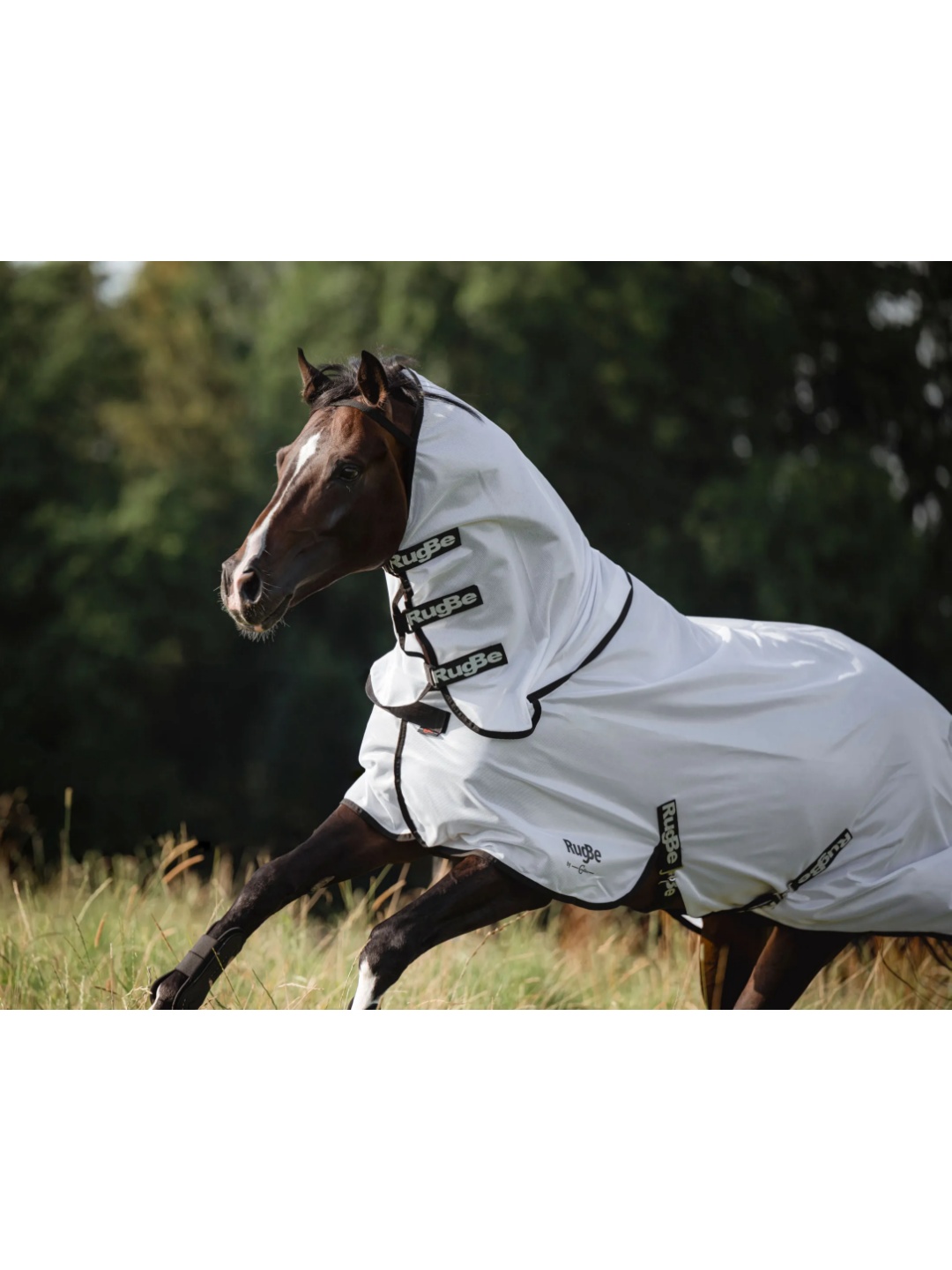 پتو ضد مگس ZiHorse مدل Sineklik — 3