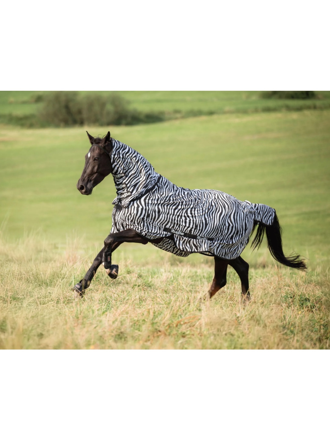 پتو توری ضد مگس ZiHorse — 3