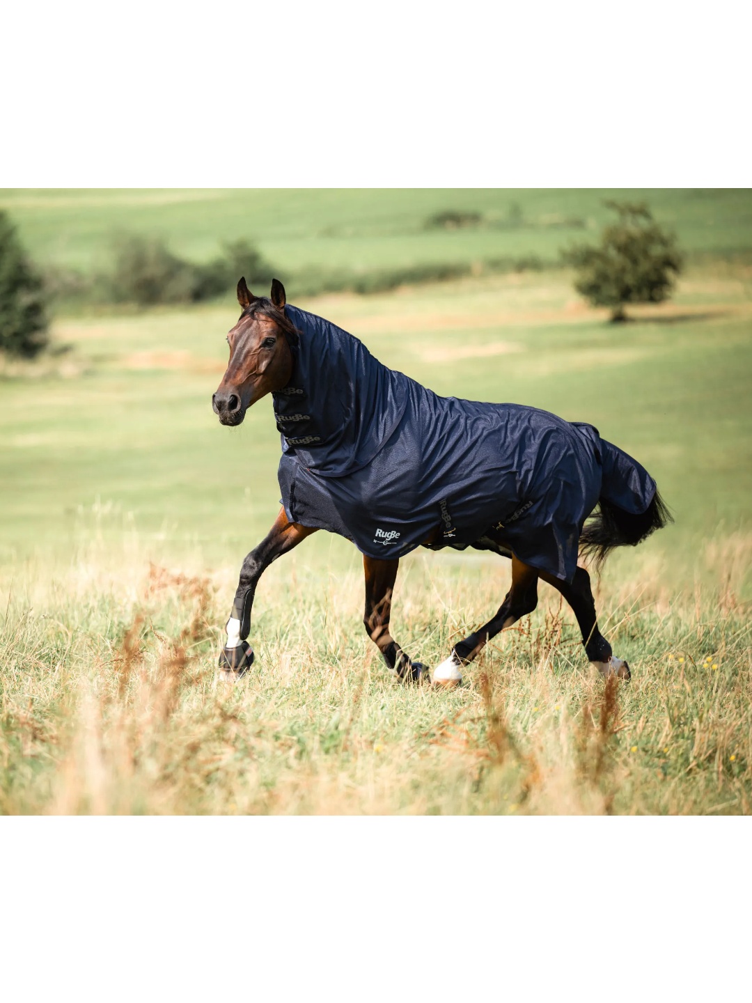 پتو توری ضد مگس ZiHorse — 2