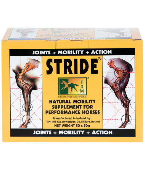 STRIDE — 1