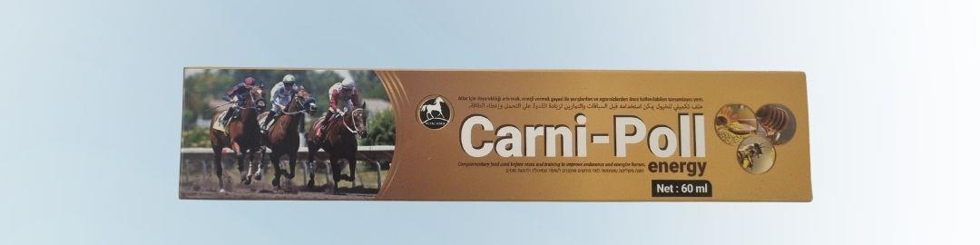 خمیر انرژی‌زا Royal İlaç مدل کارنی-پل