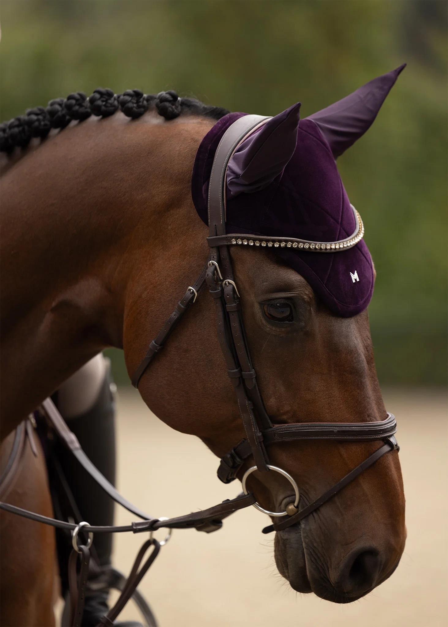 گوش گیر اسب Maximilian Equestrian مدل مخمل - آمتیست