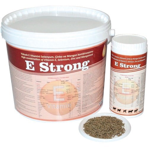 مکمل تقویت عضلات Royal İlaç مدل E Strong Pellet