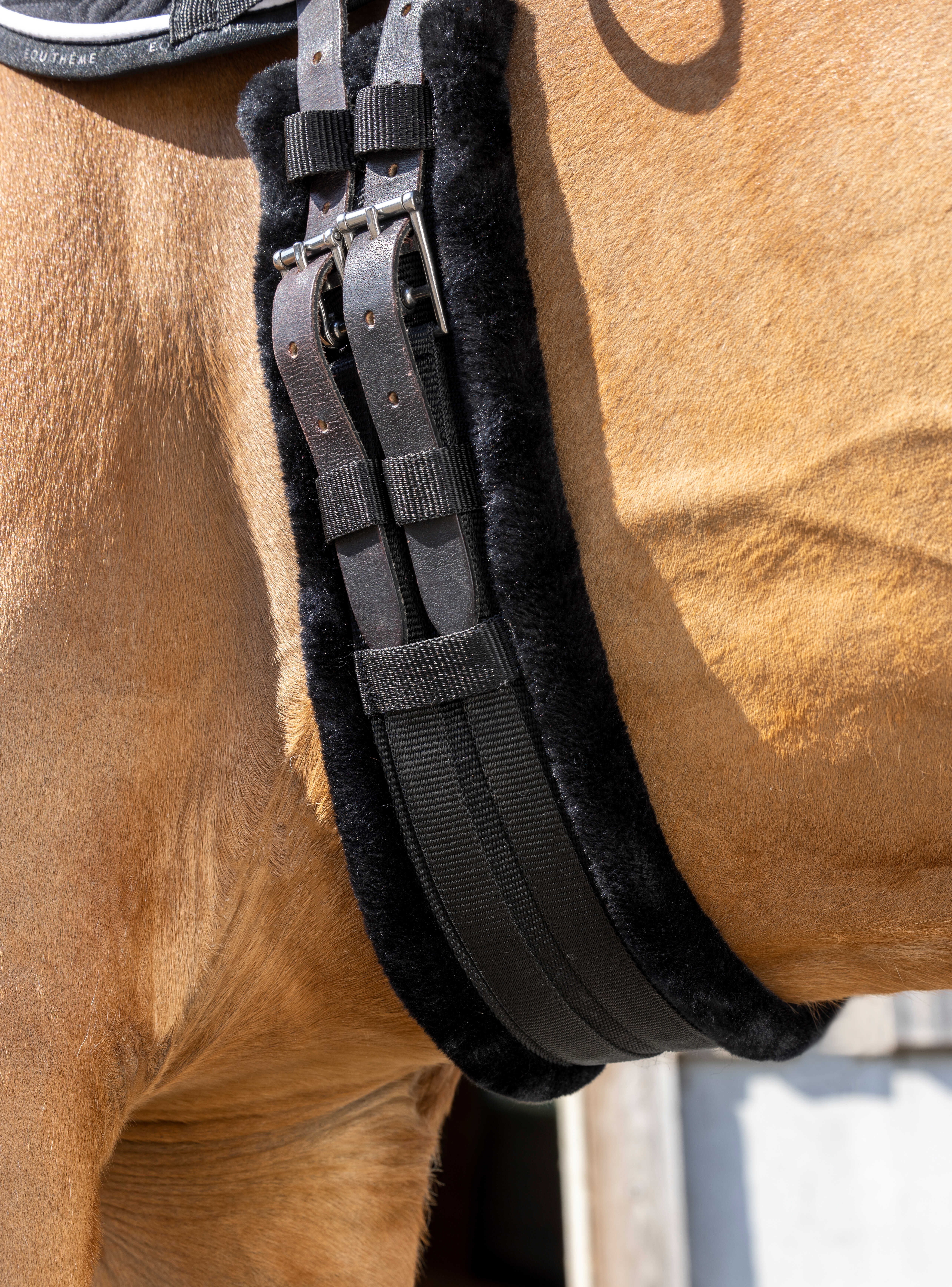 تنگ کوتاه اسب با آستر مصنوعی Norton — 2
