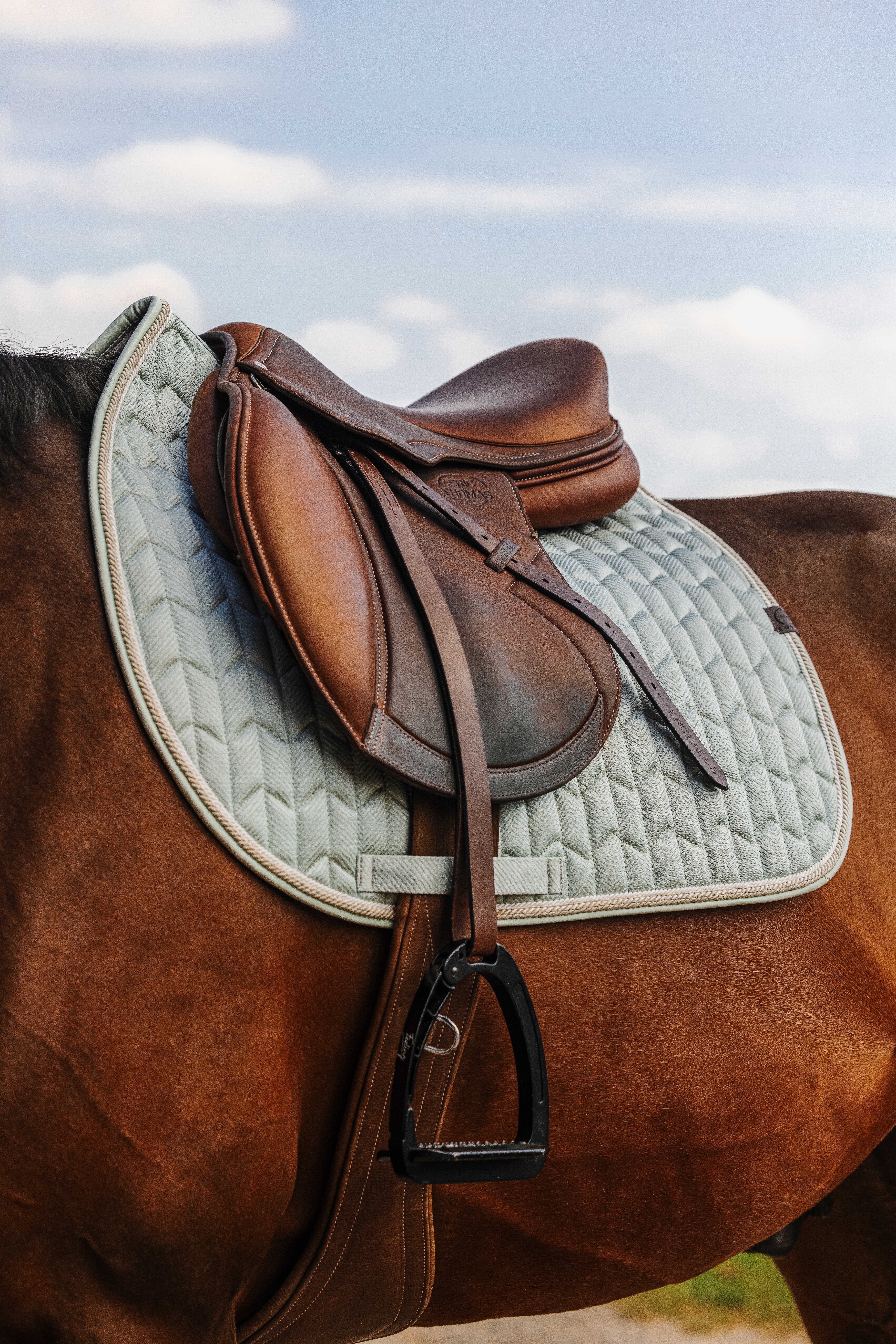 زیرزین اسب Equitheme Excellence سبز سایز Full — 2