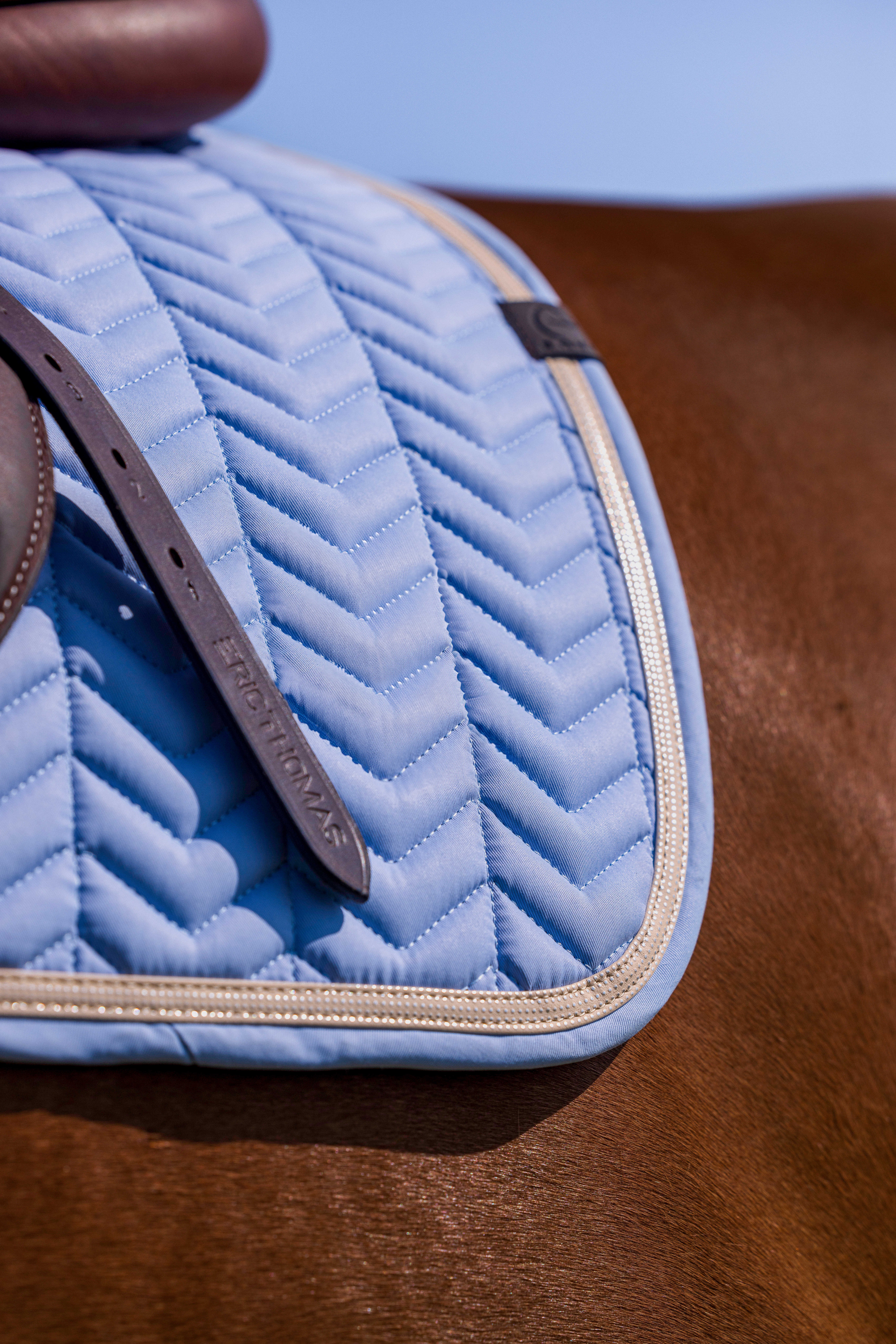 زیرزین چندمنظوره Equitheme Softypop مدل Pony Boy — 4