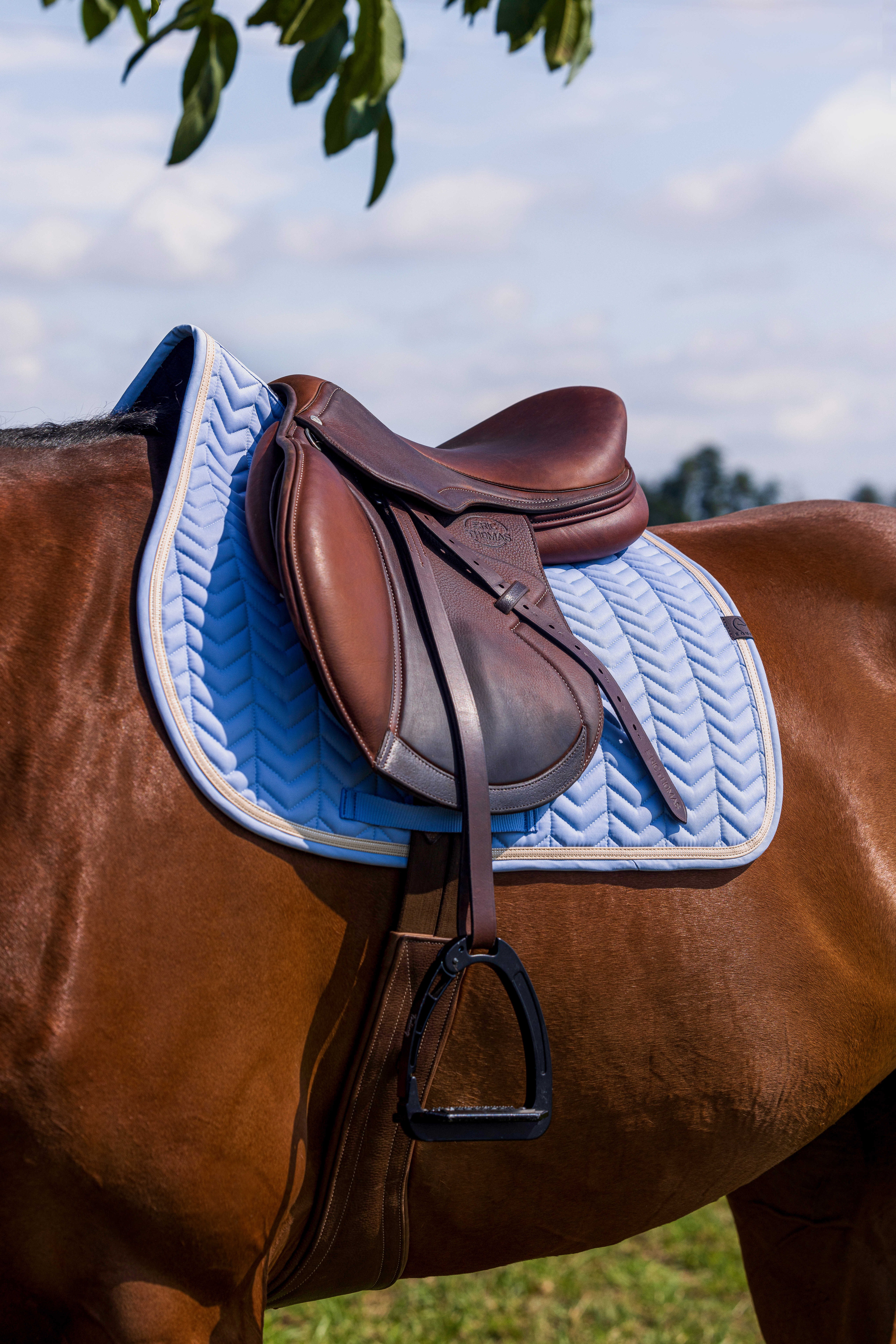 زیرزین چندمنظوره Equitheme Softypop مدل Pony Boy — 3