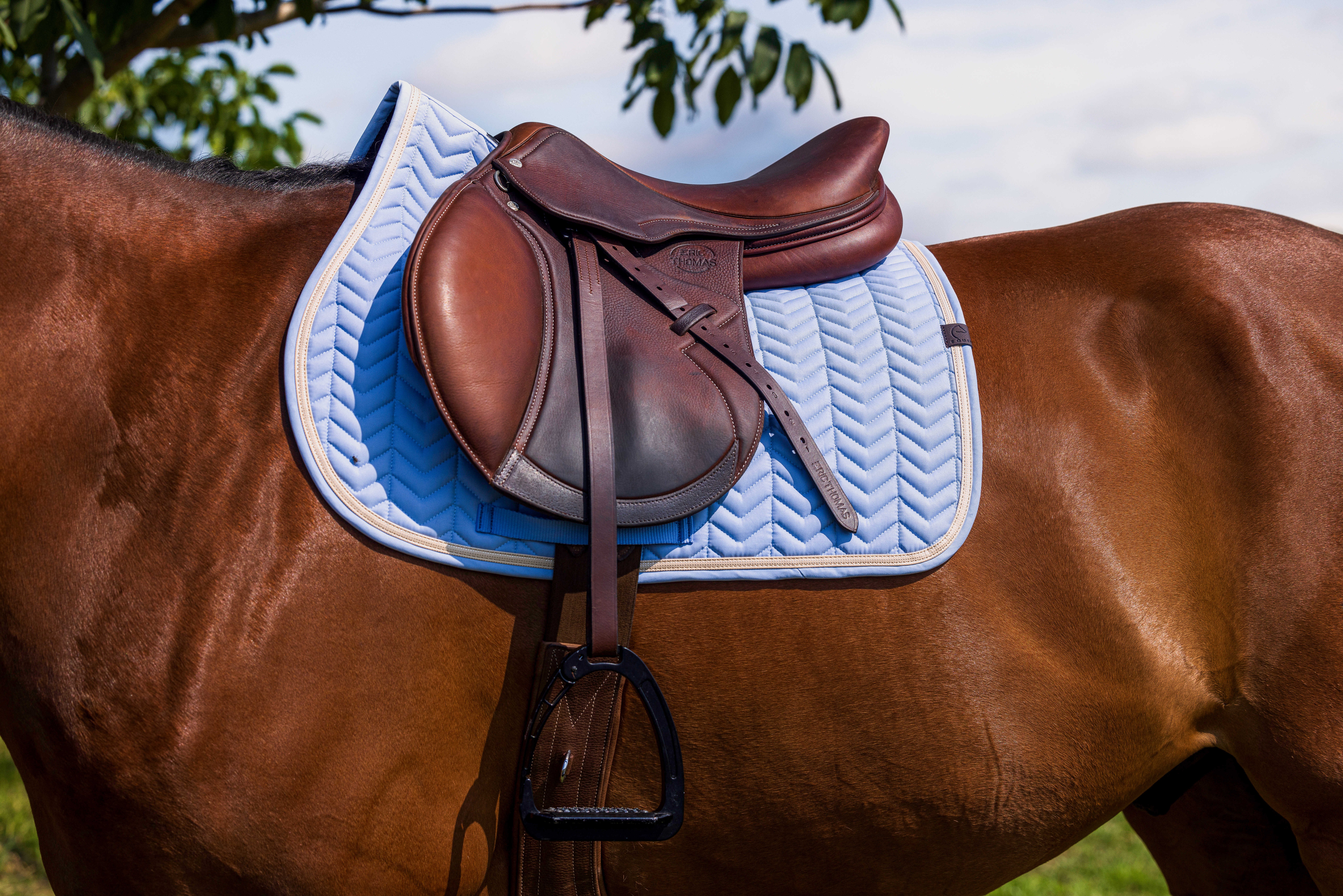 زیرزین چندمنظوره Equitheme Softypop مدل Pony Boy — 2