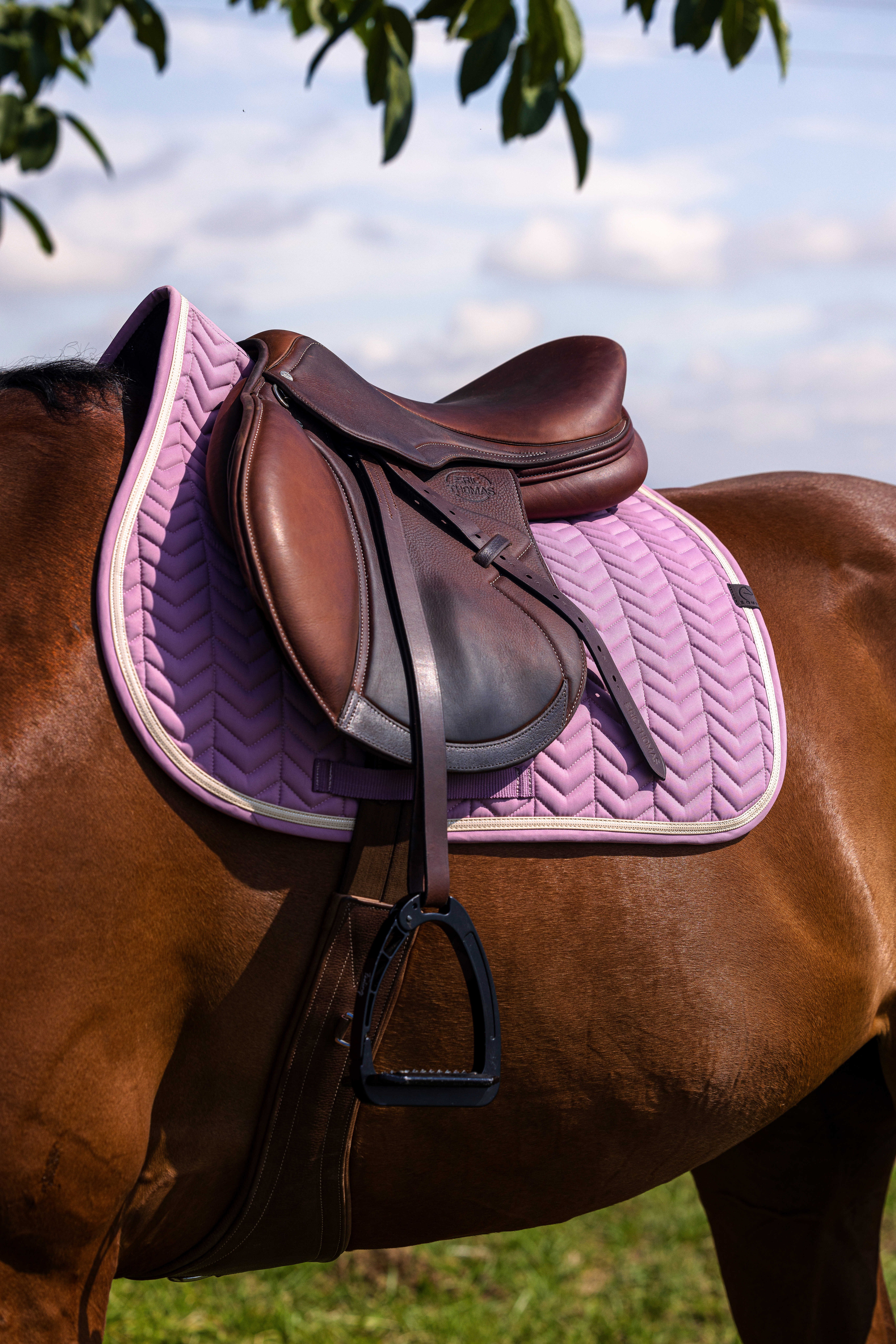 زیرزین Equitheme Softypop مدل Pony - اسطوخودوسی — 1