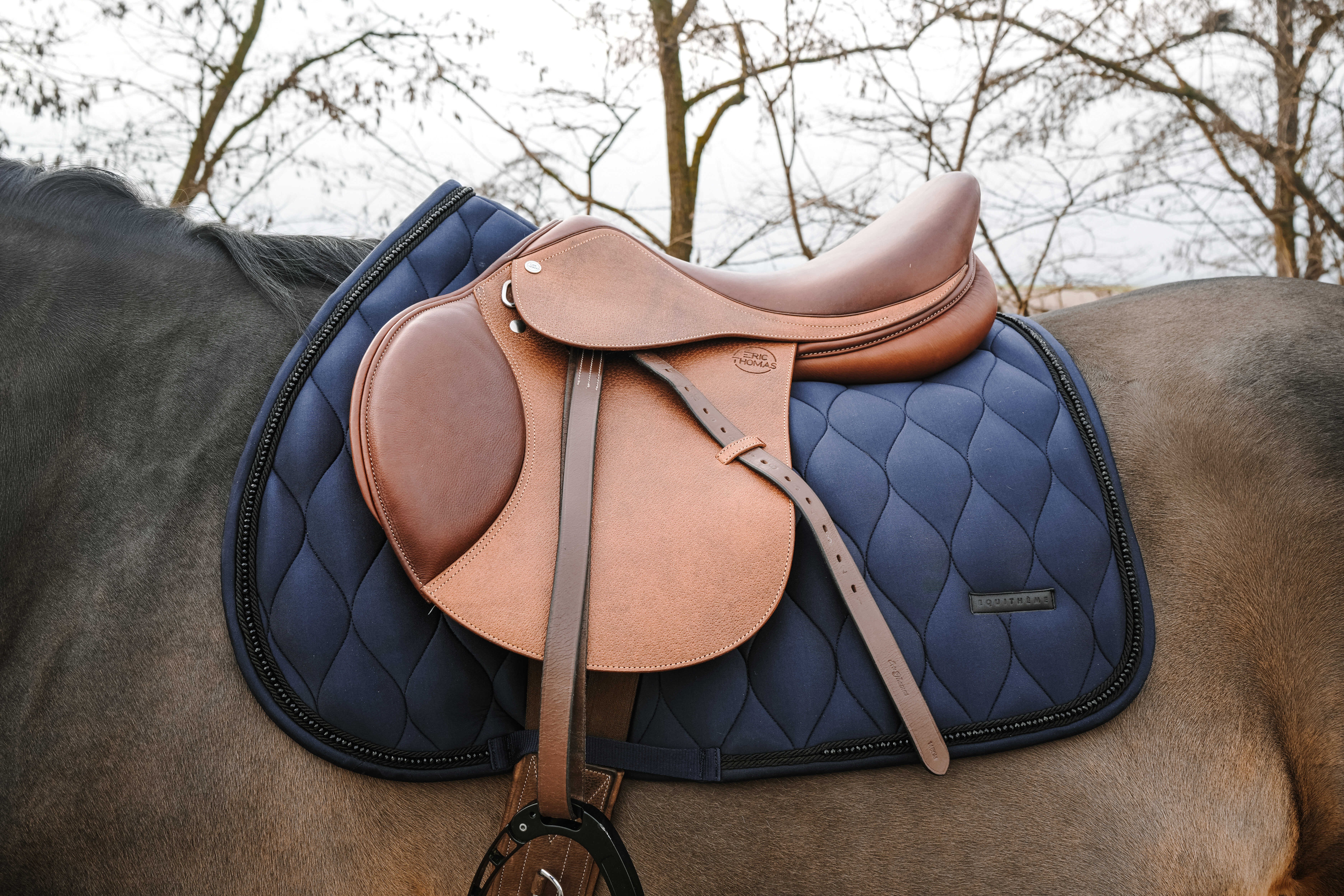 زیرزین چندمنظوره اسب Equitheme Pearl — 1