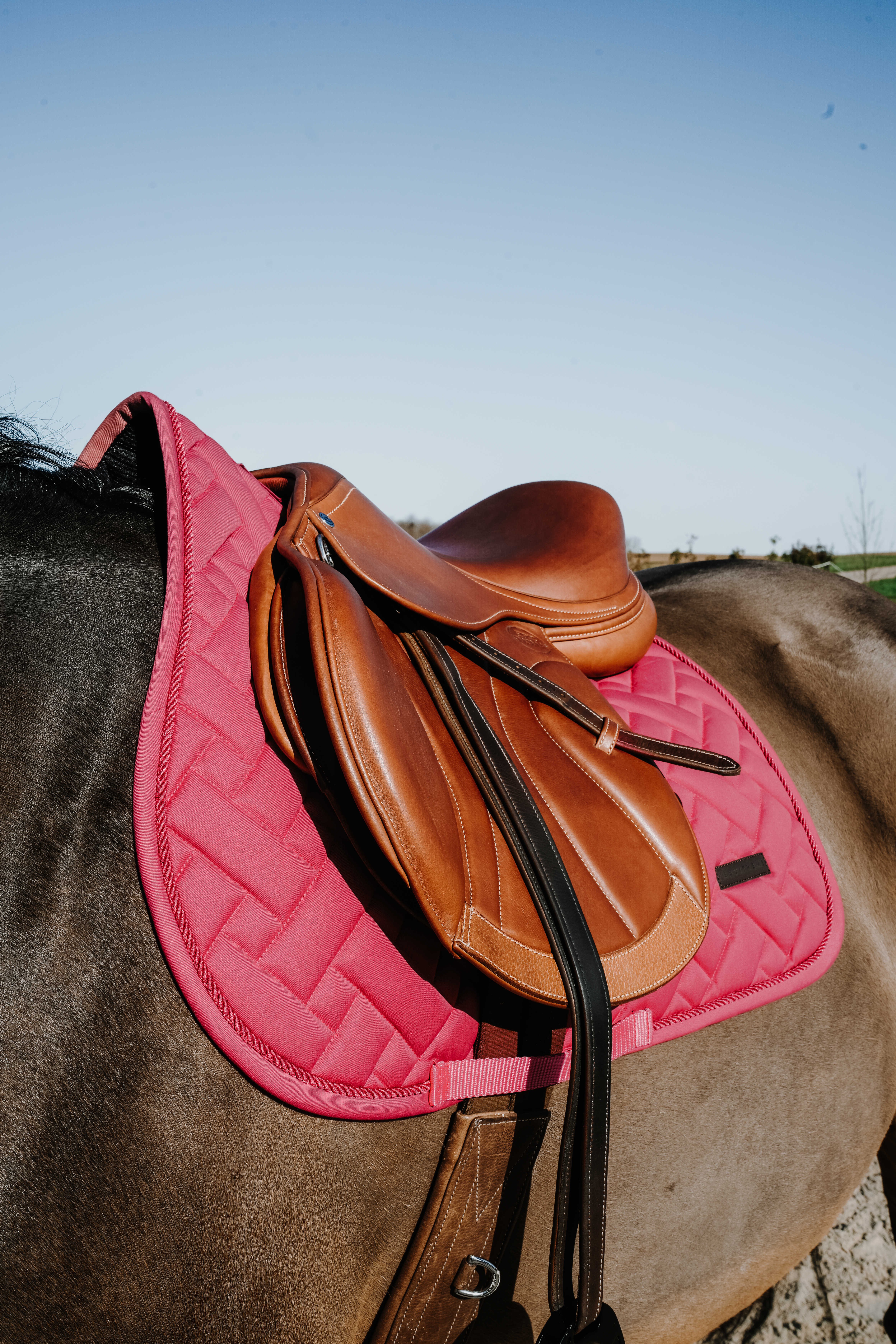 زیرزین All-Purpose EQUITHÈME مدل Starlet سایز Full — 2