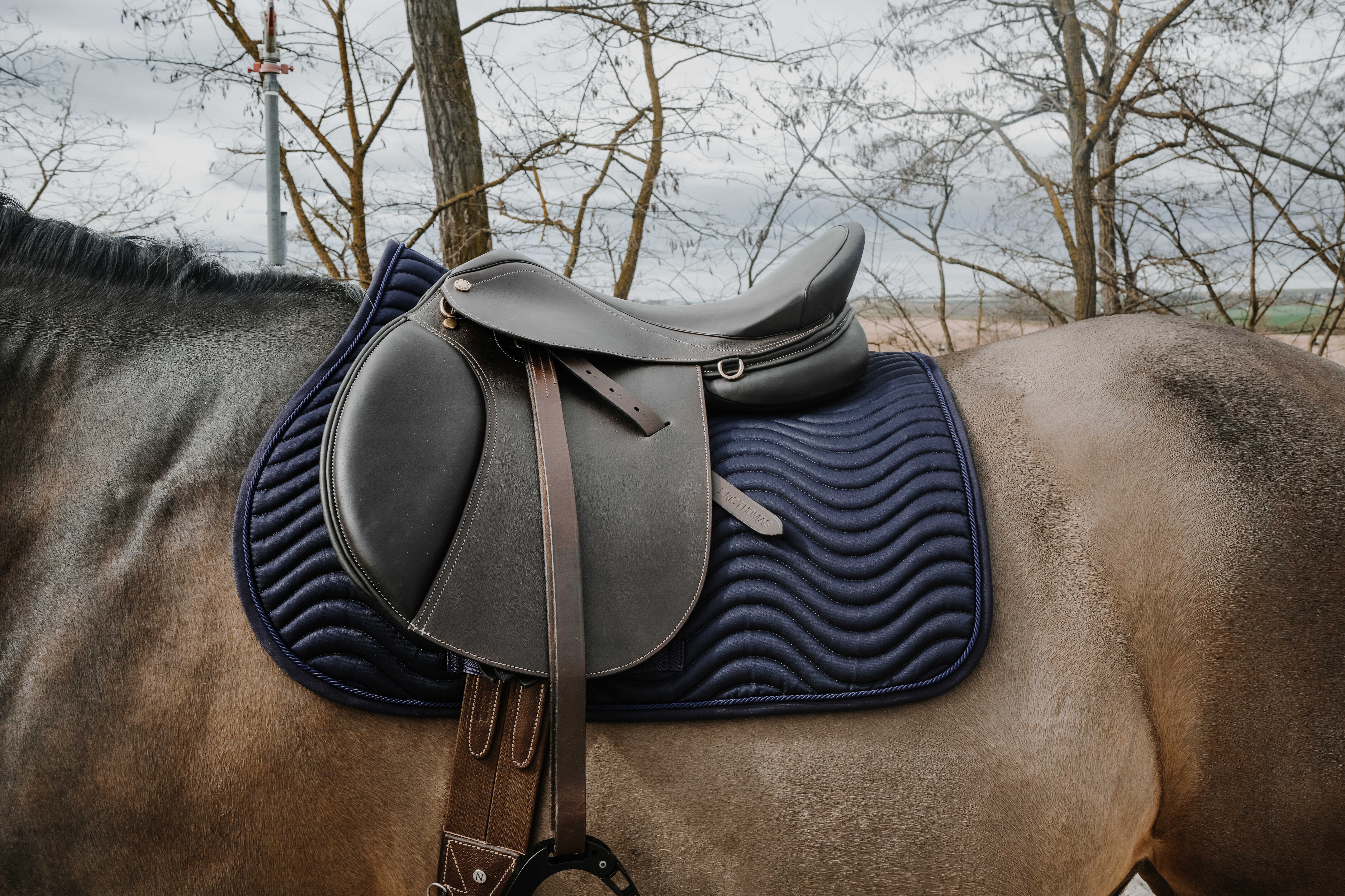 زیرزین اسب Riding World Wave — 1