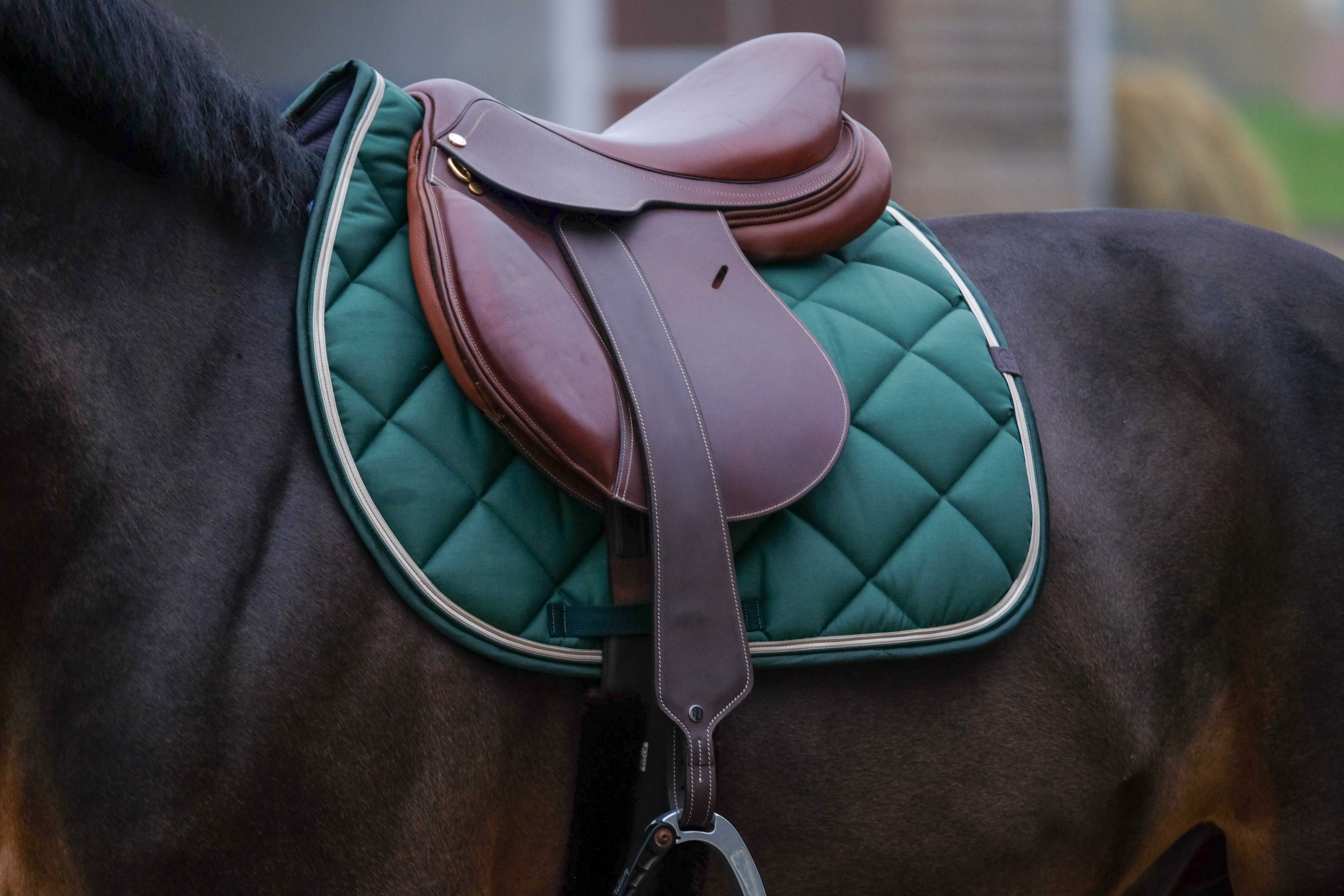 زیرزین اسب EQUITHÈME Classic سایز Full — 1