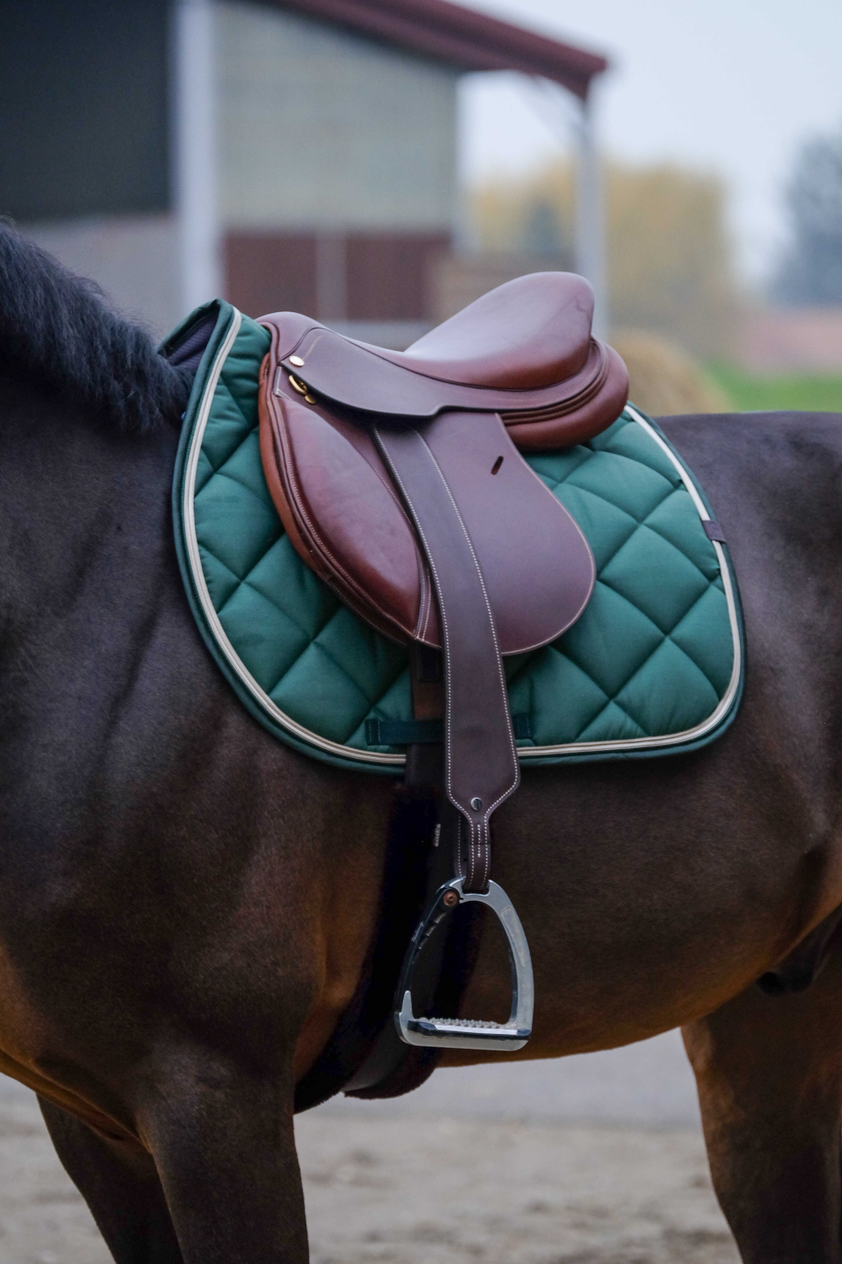 زیرزین اسب EQUITHÈME Classic سایز Full — 2