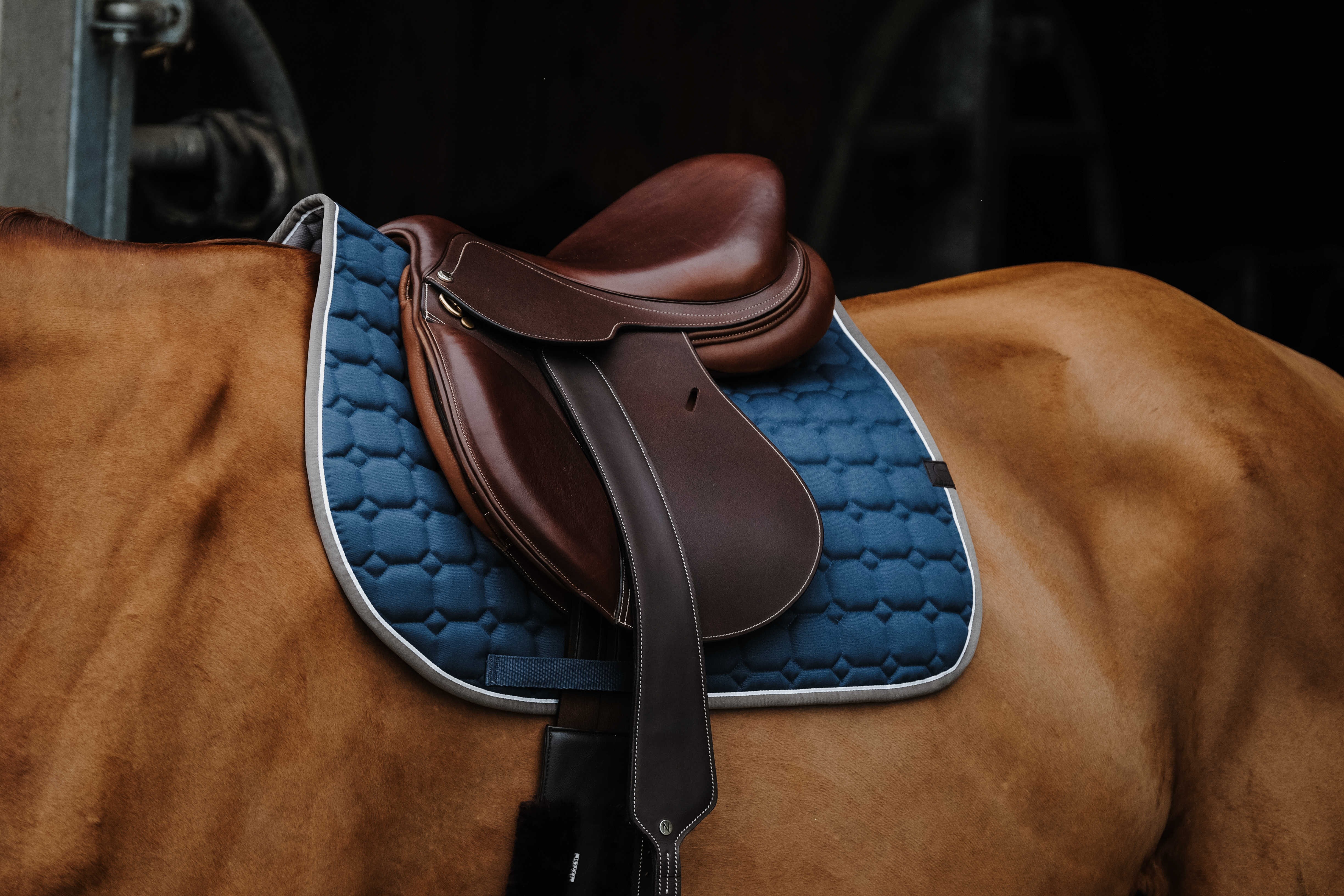زیرزین اسب Equitheme Orion سایز Full — 5