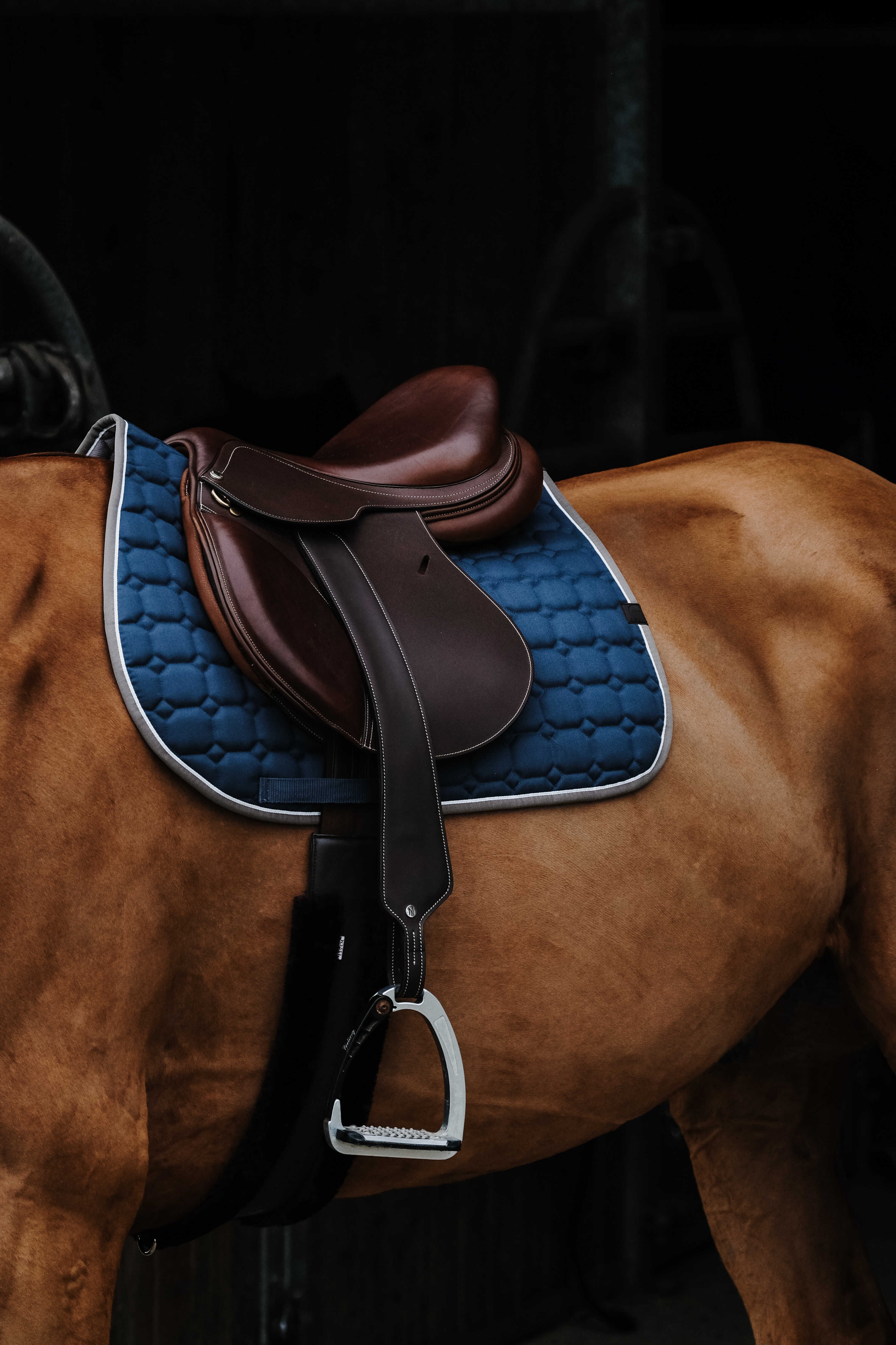 زیرزین اسب Equitheme Orion سایز Full — 4