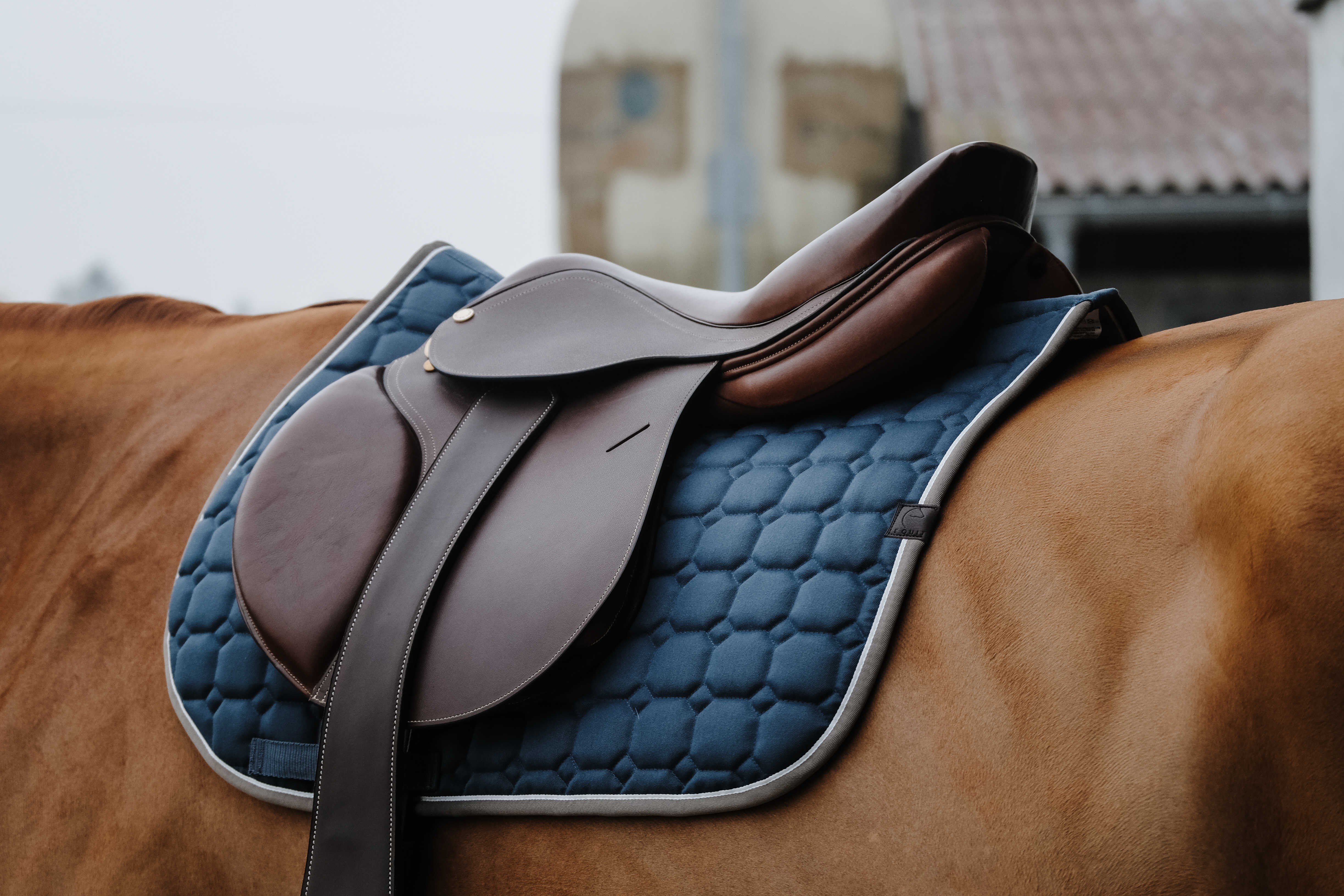 زیرزین اسب Equitheme Orion سایز Full — 8