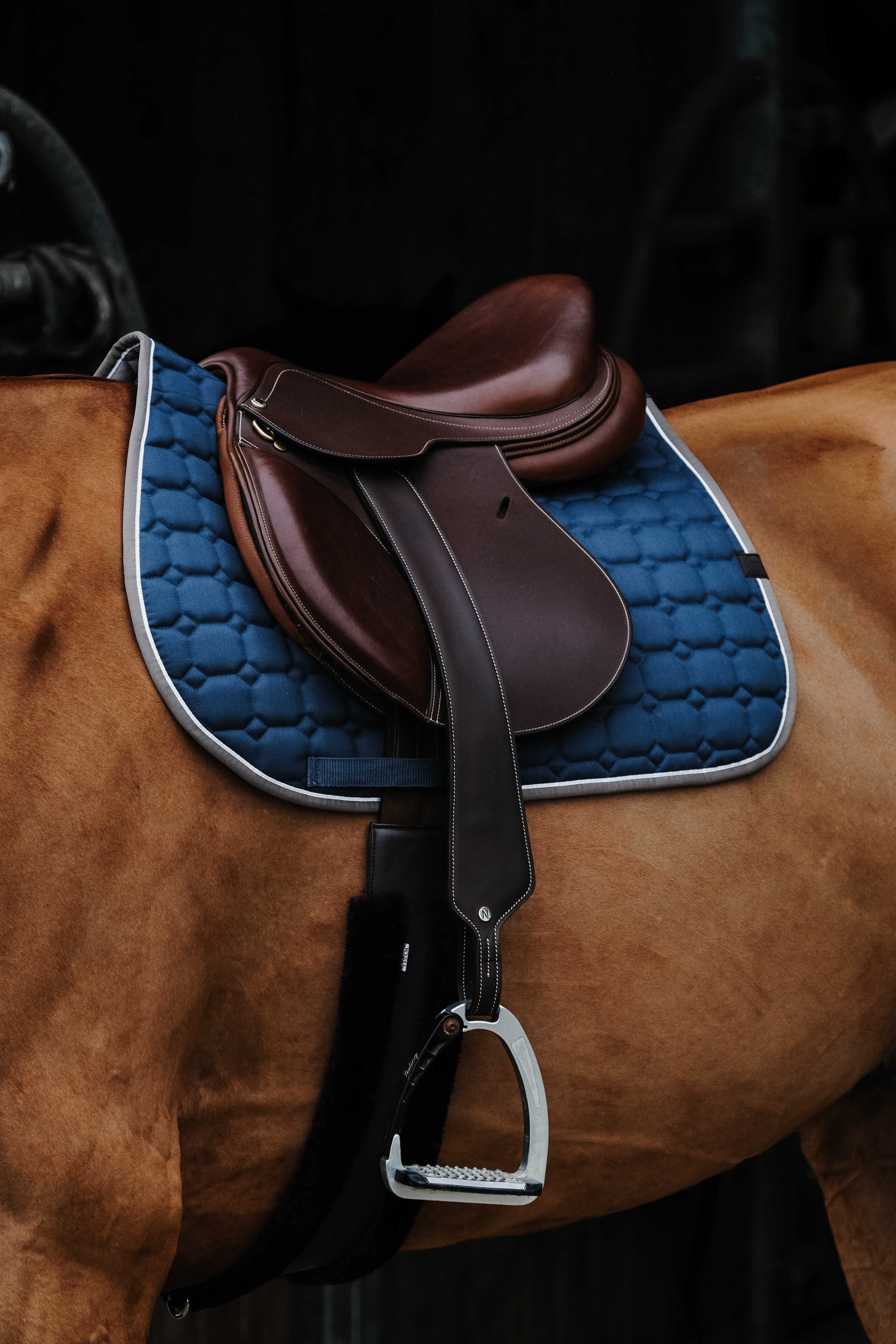 زیرزین اسب Equitheme Orion سایز Full — 3