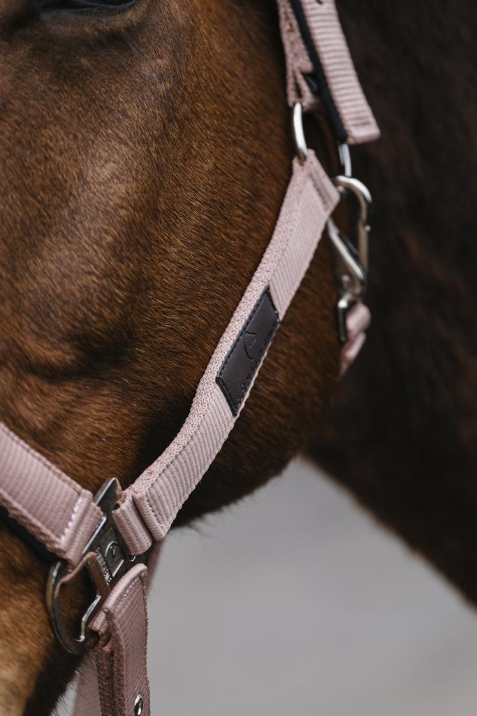 کلهگی اسب Equitheme مدل Spring — 3