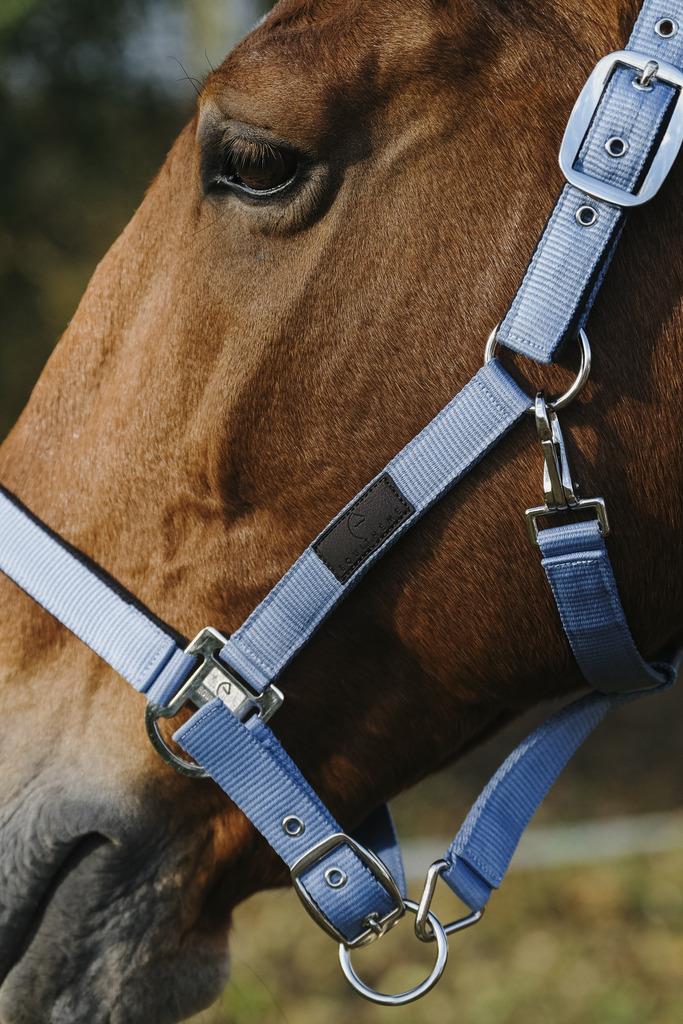 کلهگی اسب Equitheme مدل Spring — 5
