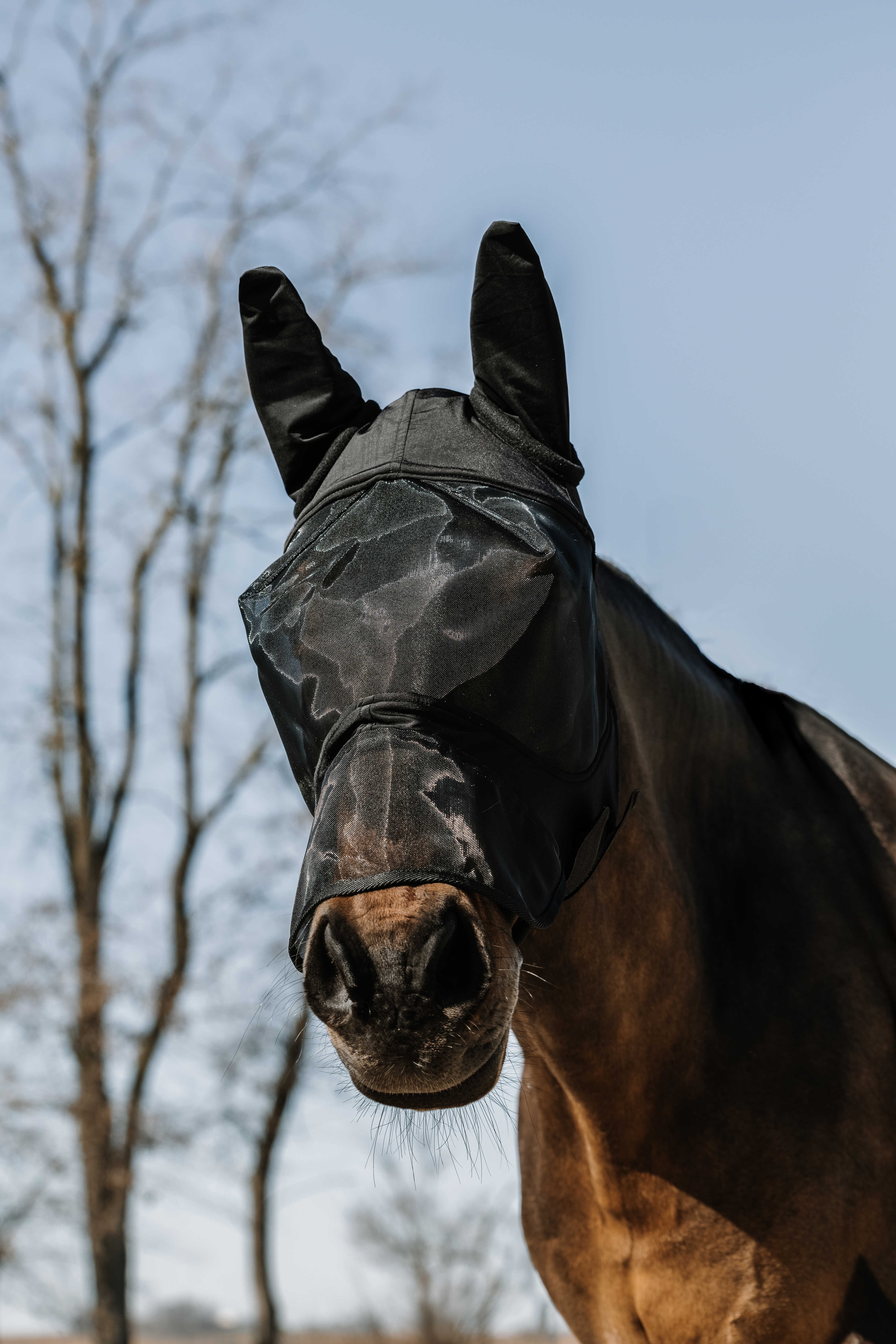 ماسک مگس اسب Equitheme Soft با محافظ بینی — 1