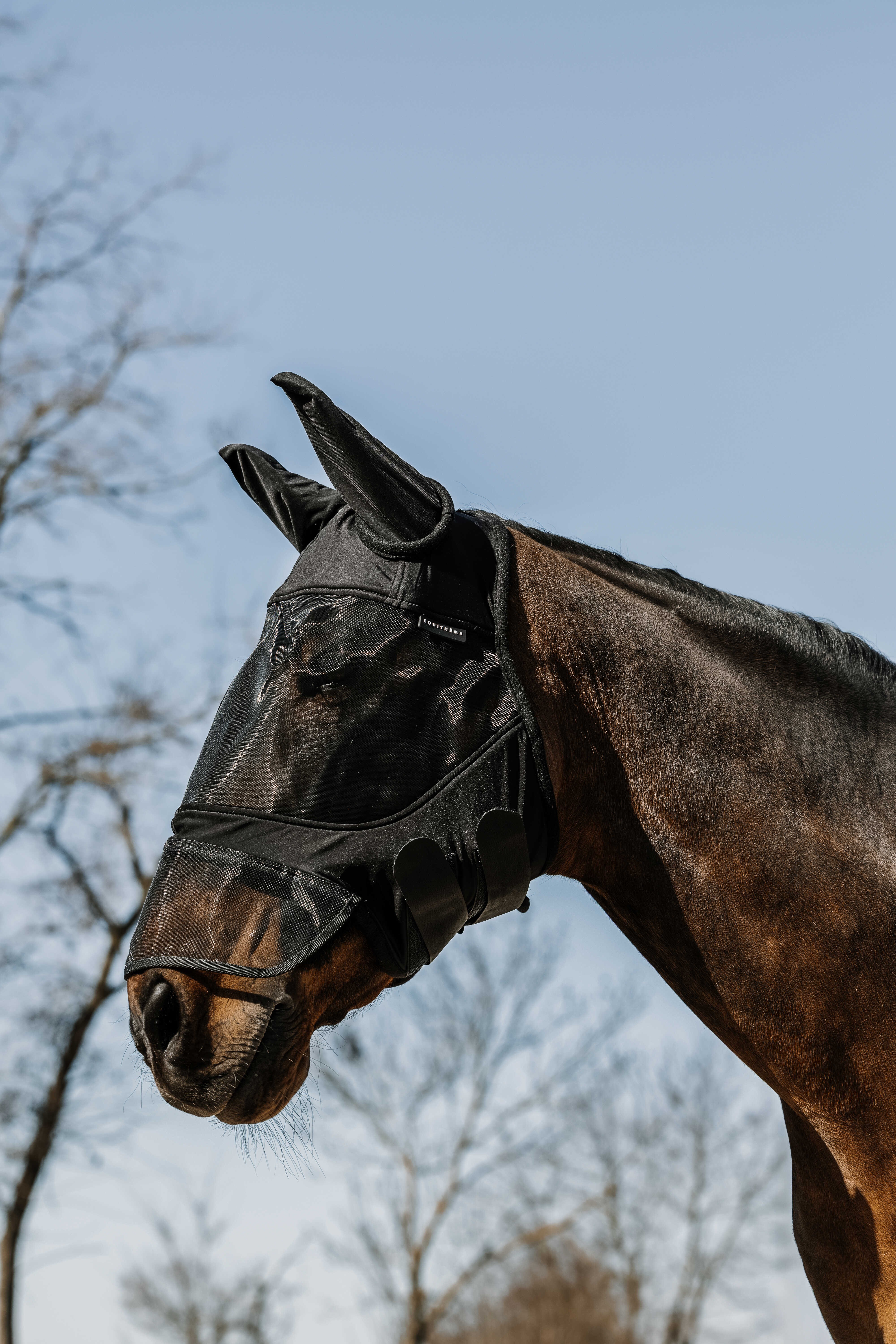 ماسک مگس اسب Equitheme Soft با محافظ بینی — 2
