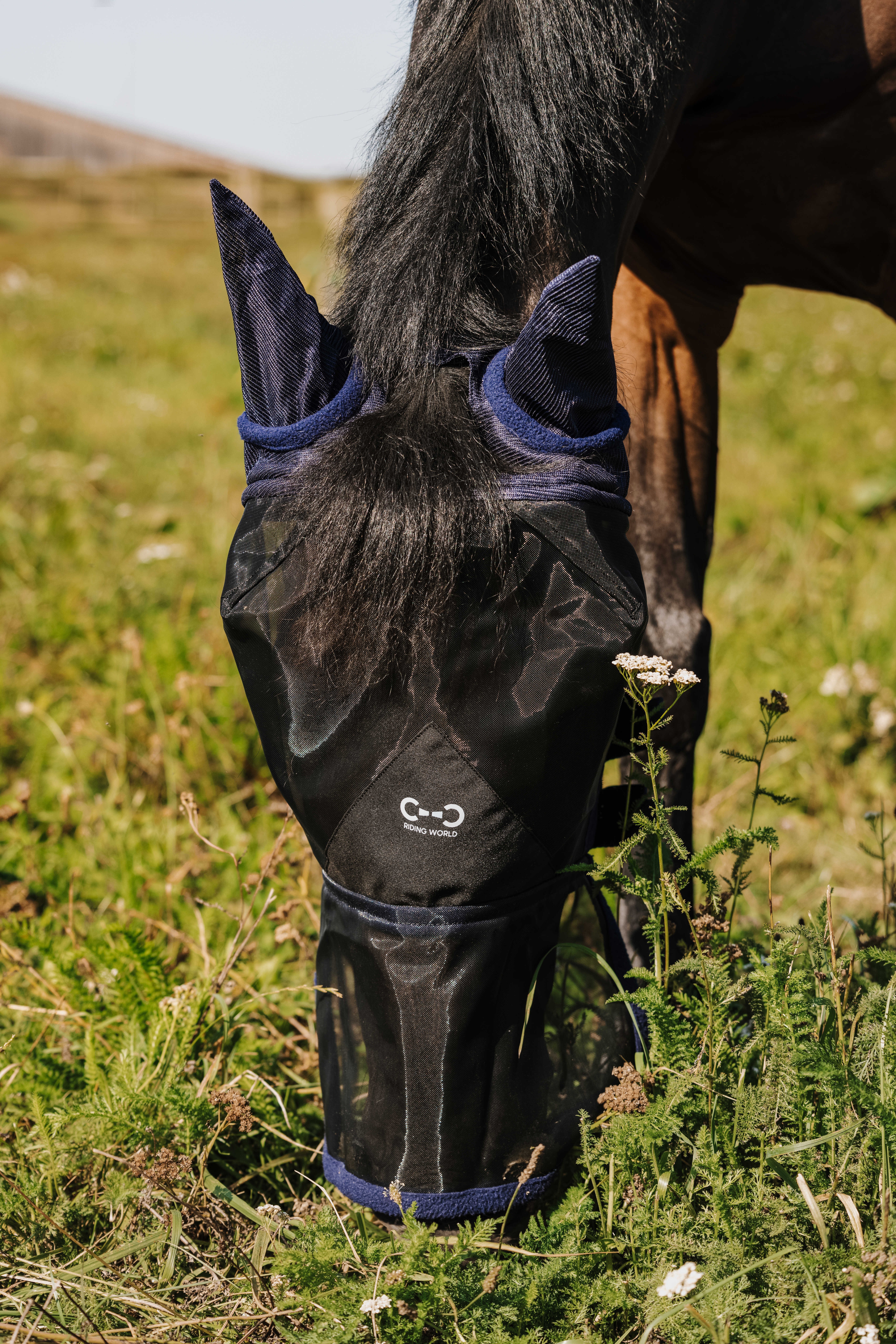 ماسک مگس گوشدار اسب RIDING WORLD First — 1
