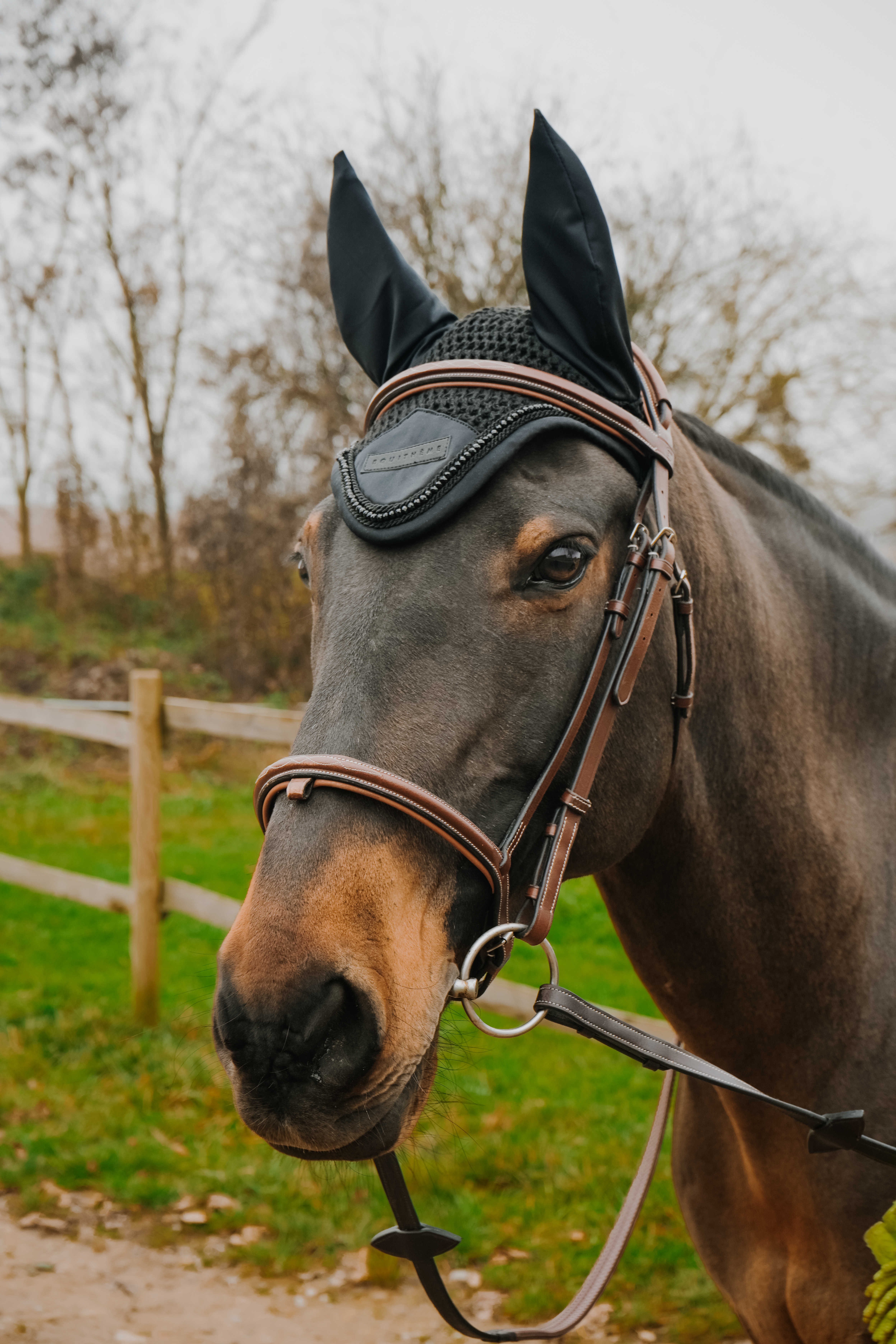 گوشگیر اسب Equitheme مدل Pearl سایز Full — 2