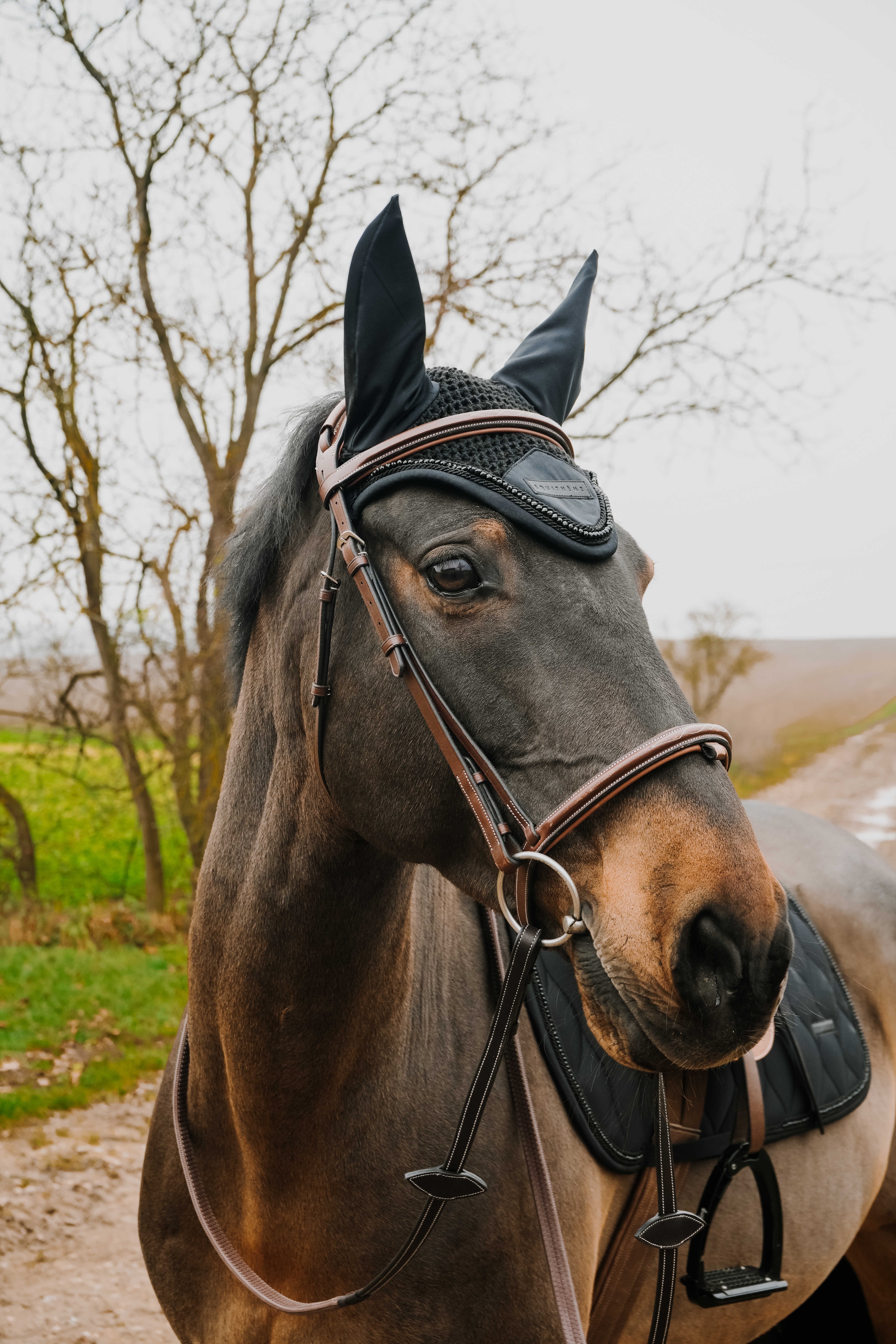 گوشگیر اسب Equitheme مدل Pearl سایز Full — 4