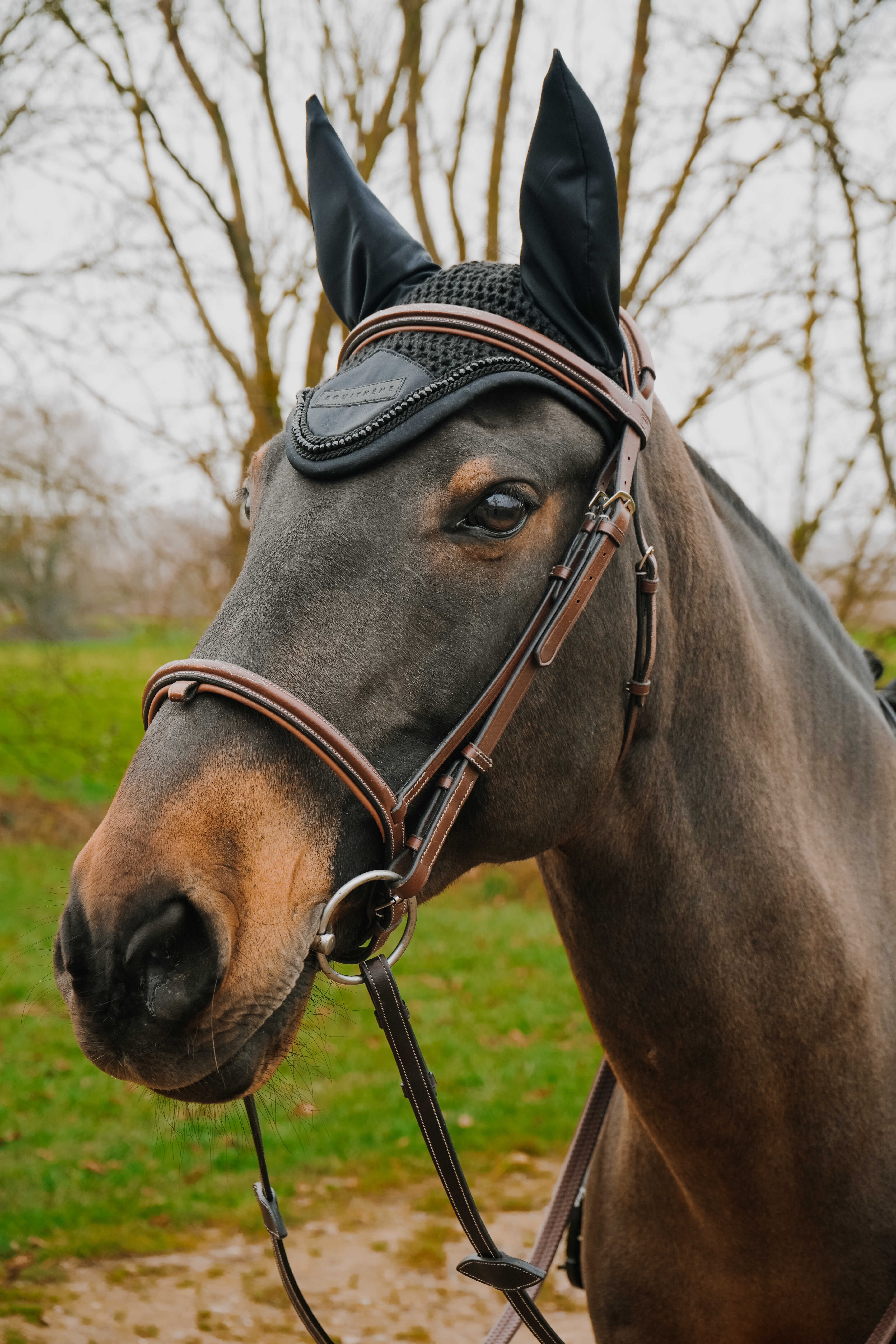 گوشگیر اسب Equitheme مدل Pearl سایز Full — 3