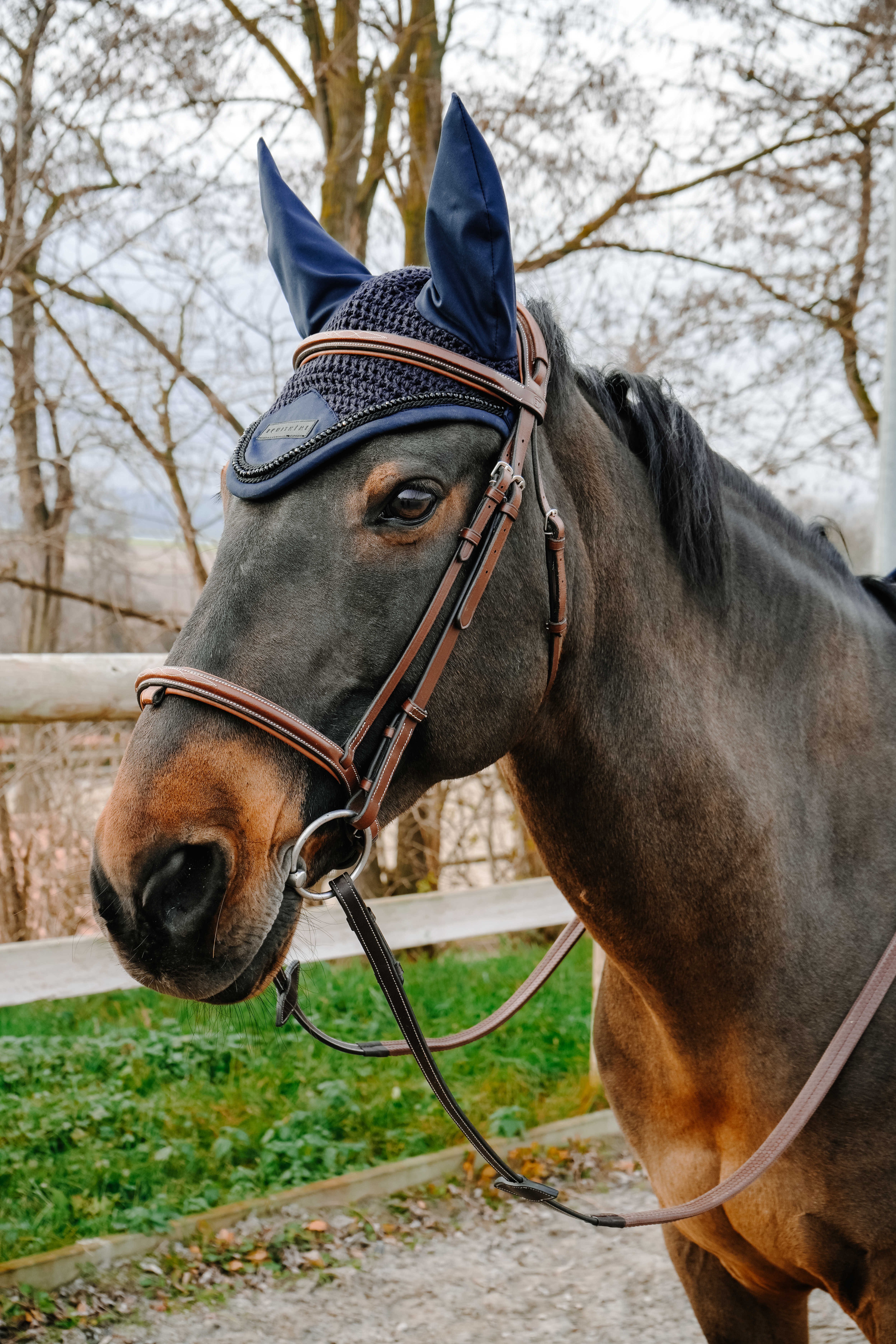 گوشگیر اسب Equitheme مدل Pearl سایز Full؛ سرمهای — 2
