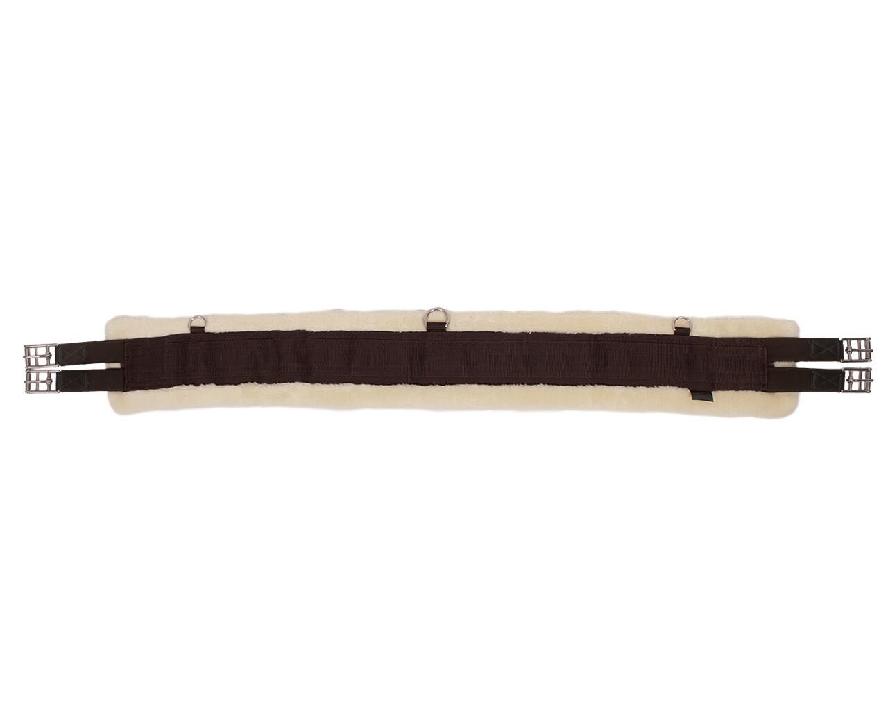 تنگ اسب QHP Ontario — 3