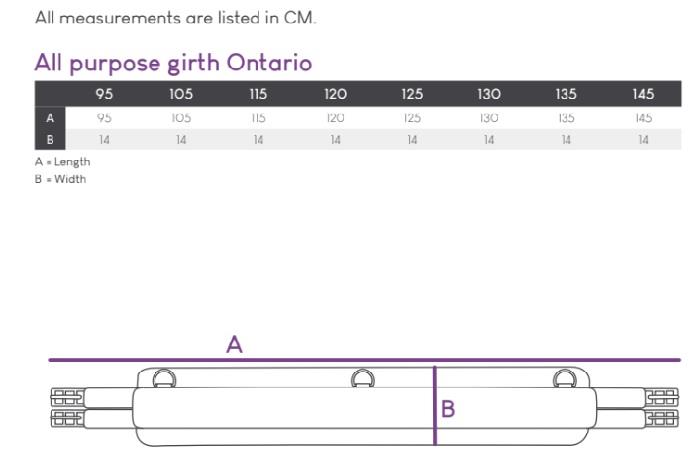 تنگ اسب QHP Ontario — 9