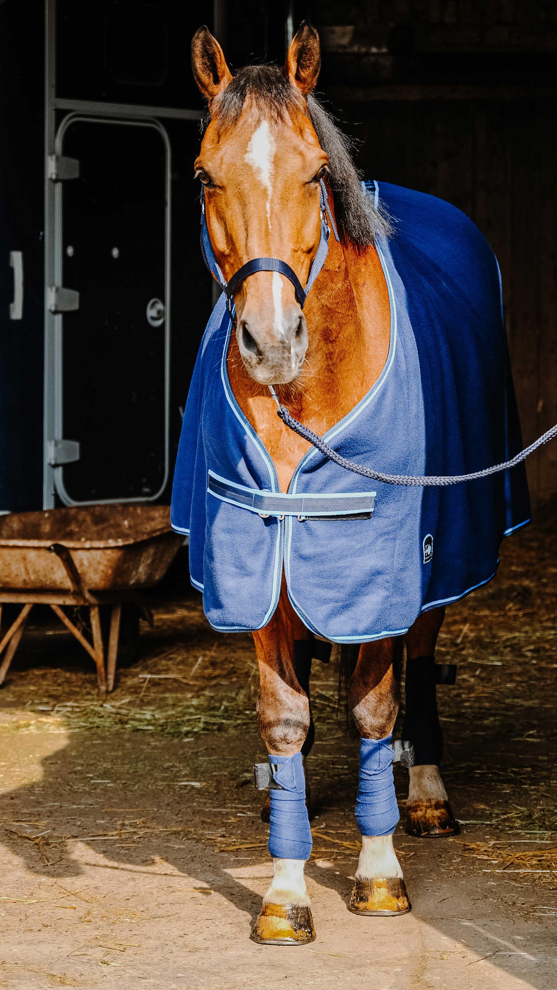 ست کامل اسب Riding World — 10