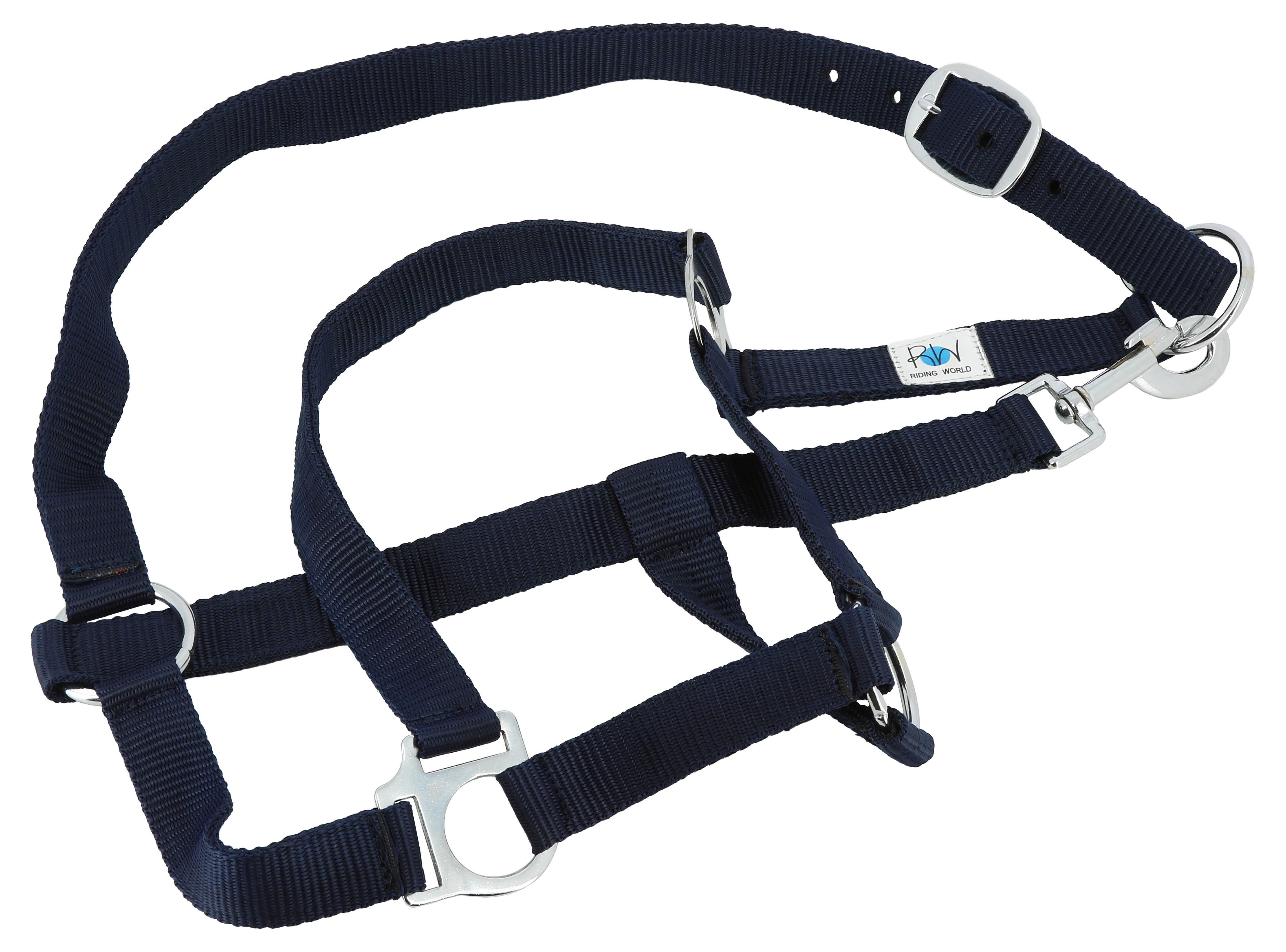 ست کامل اسب Riding World — 6
