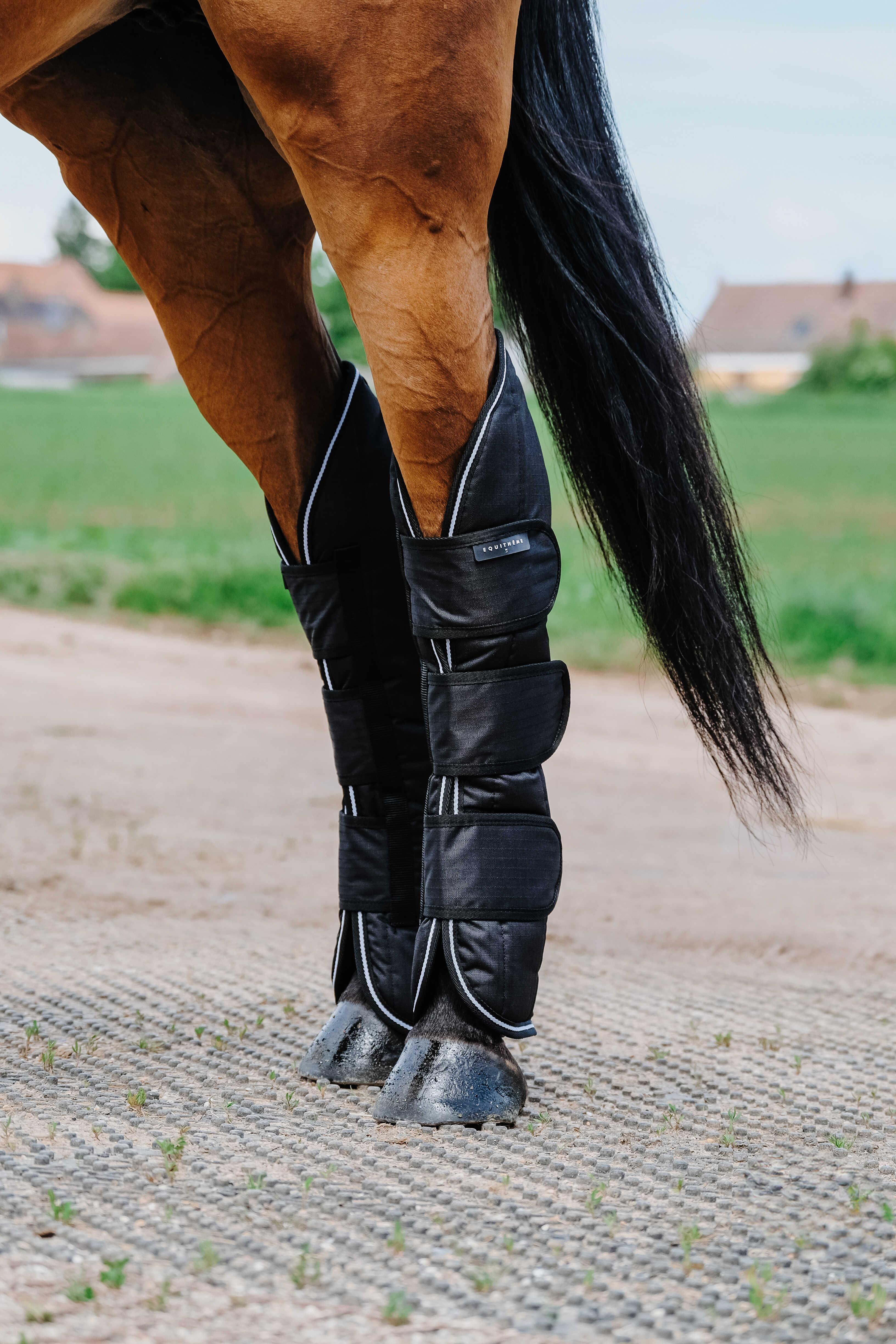 محافظ سفر اسب Equitheme Tyrex 600D — 8