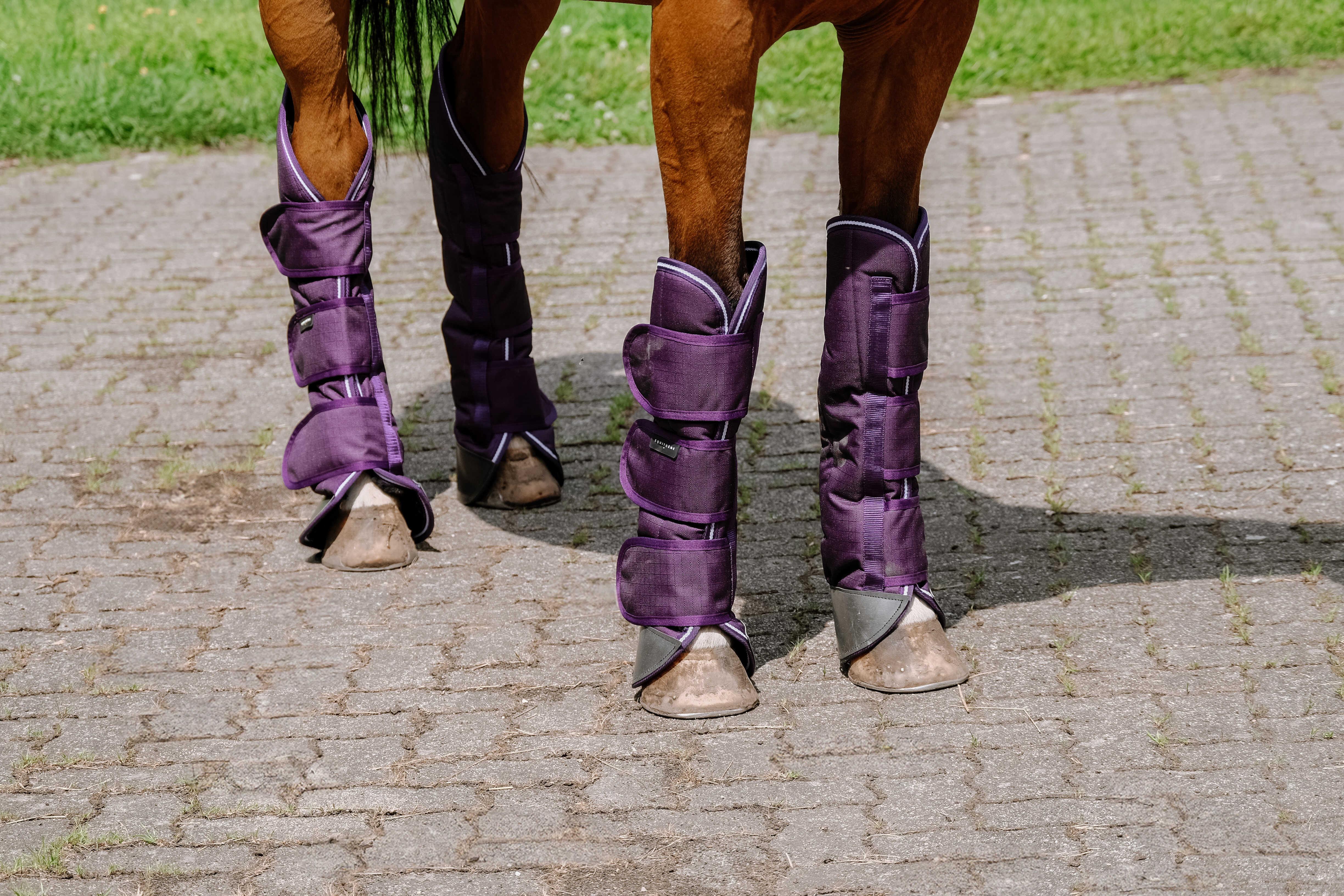 محافظ سفر اسب Equitheme Tyrex 600D — 5