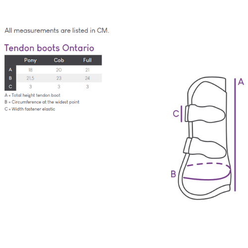 محافظ تاندون اسب QHP Ontario — 9