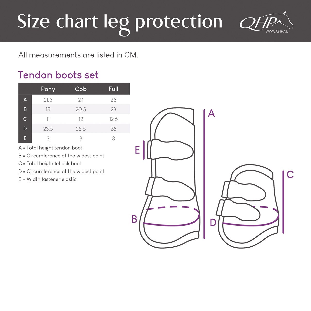 ست محافظ تاندون و فتلاک اسب QHP — 7