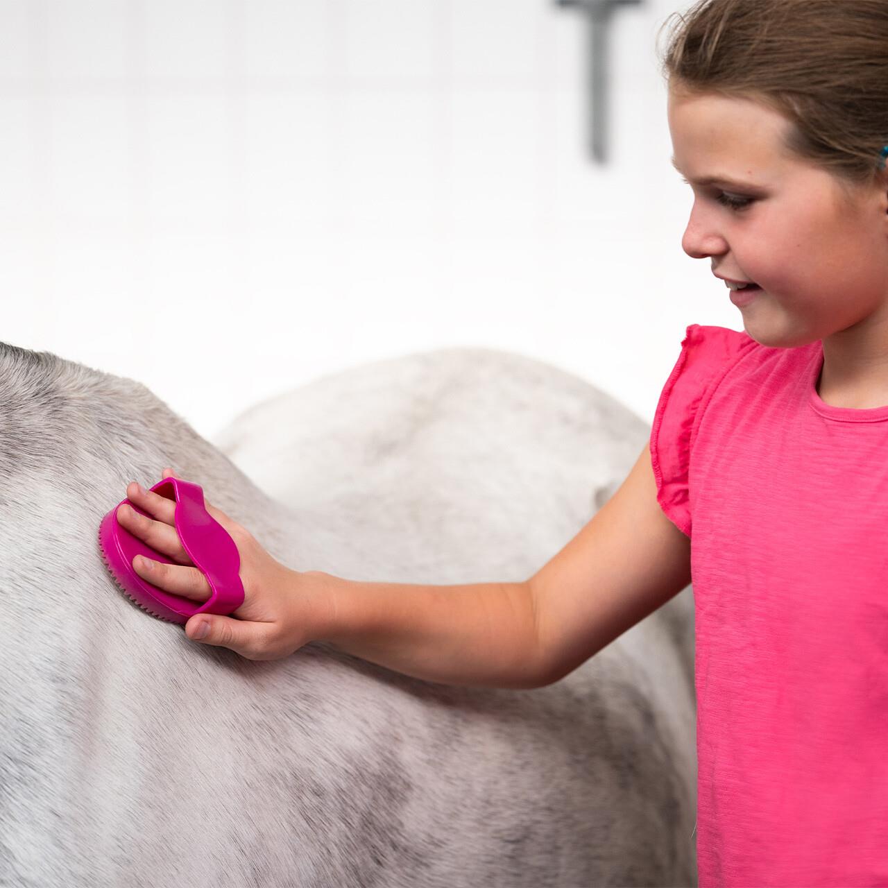 جعبه تیمار QHP مدل Pony Power — 8